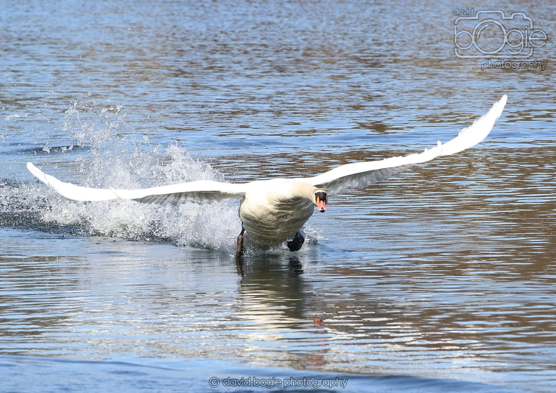 20260319 113008 Beveridge Park 0056.jpg