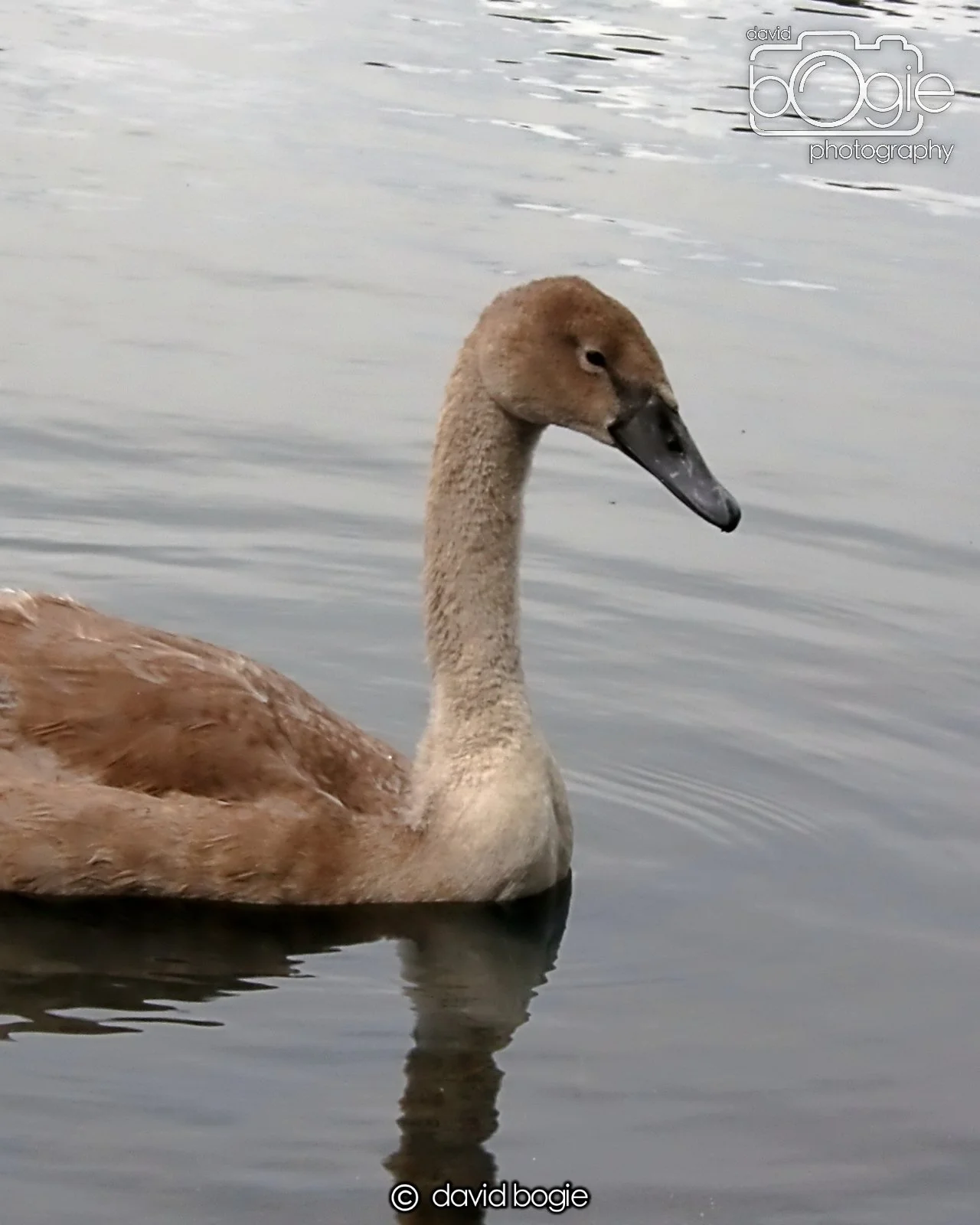 20250721 124059 Beveridge Park 0232.JPG