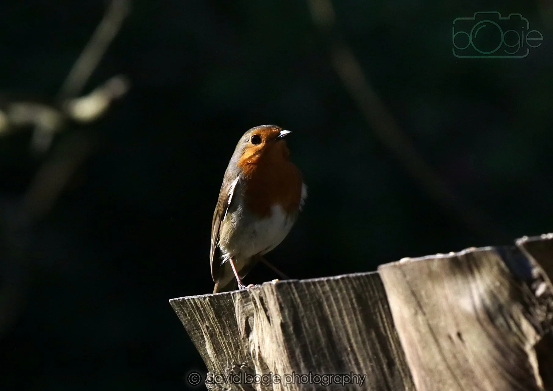 20260320 152417 Ravenscraig 0507.jpg