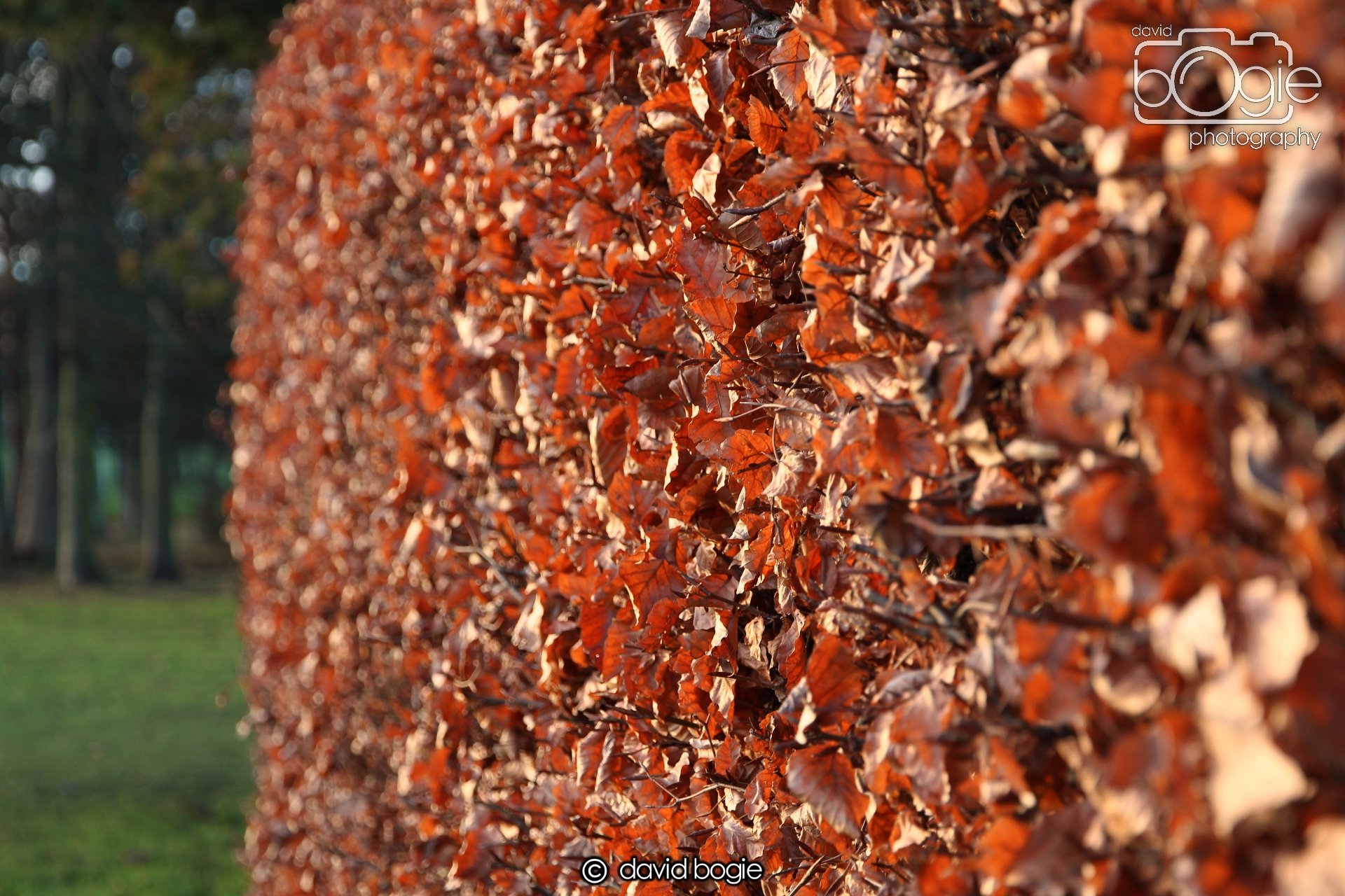 20221222 Beveridge Park 00013.JPG