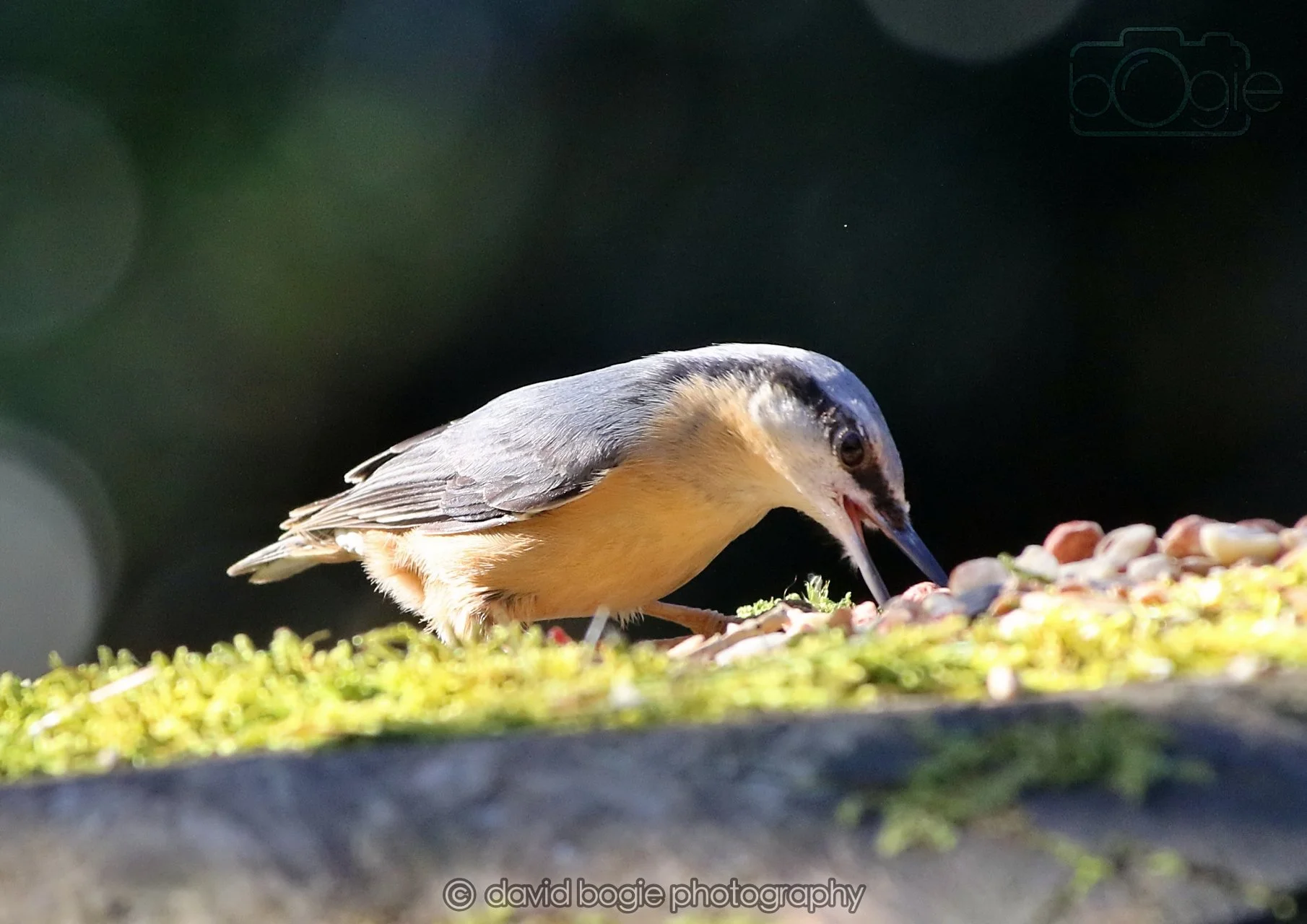 20260320 142936 Ravenscraig 0280.jpg