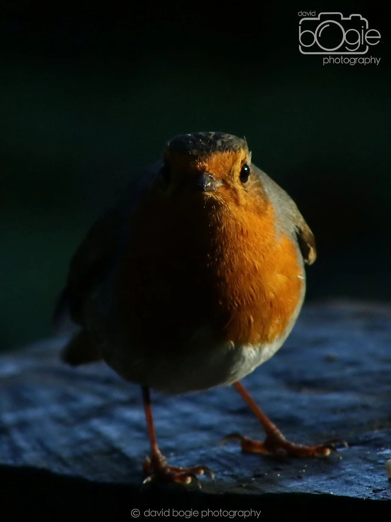 20251125 142922 Silverburn 0727.JPG