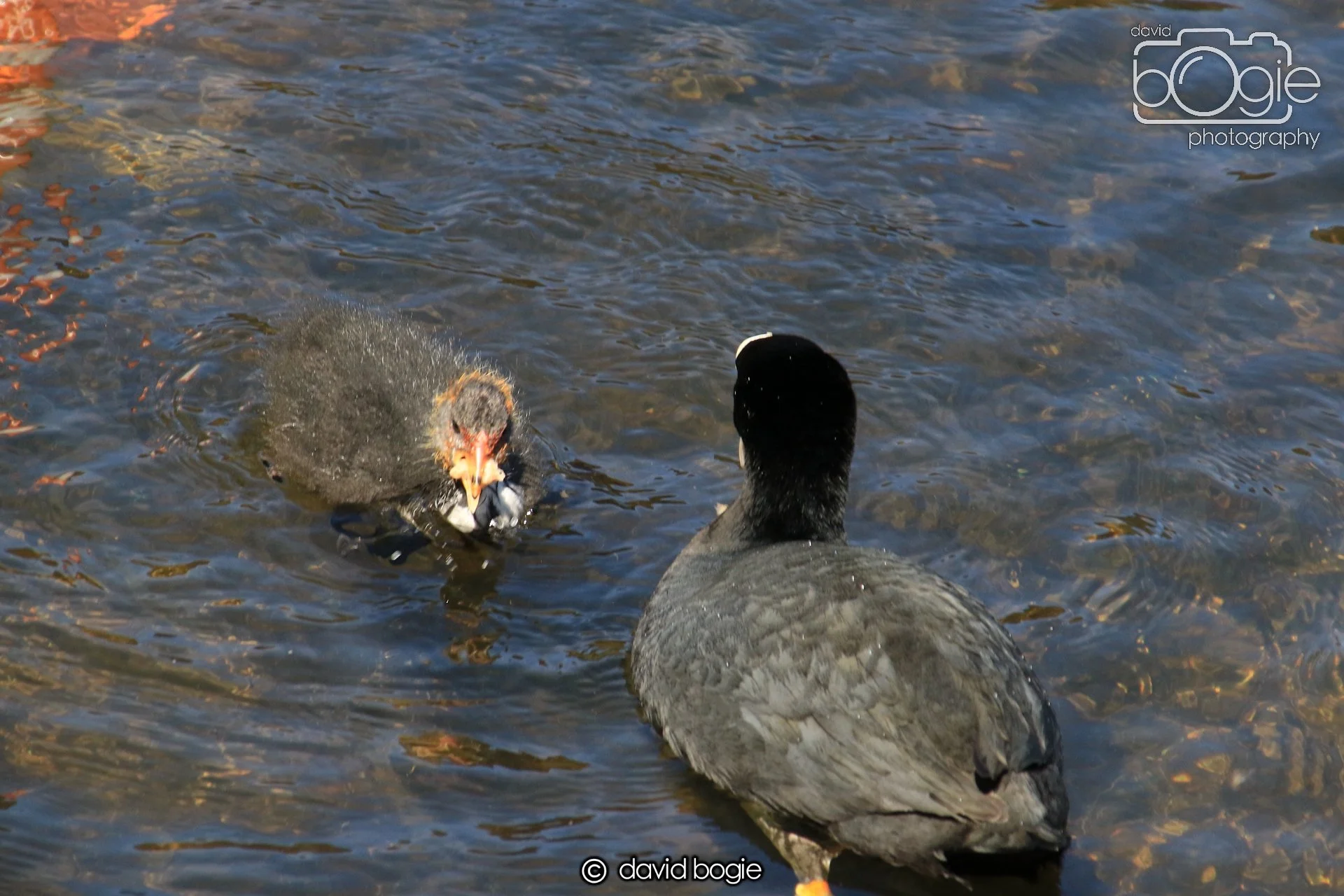 20250517 123931 Beveridge Park 0513.JPG