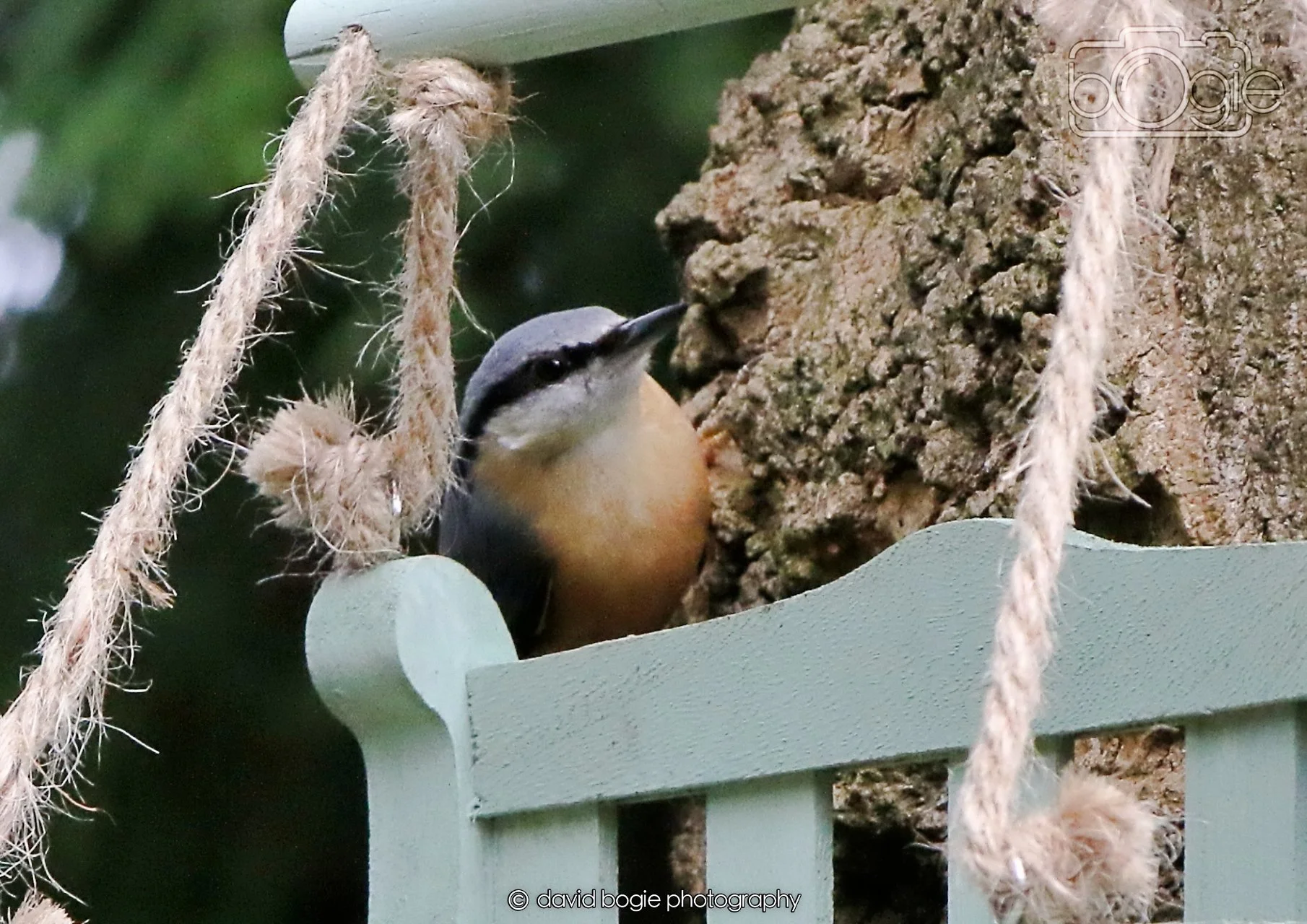 20260330 115928 Dunnikier 0311.jpg