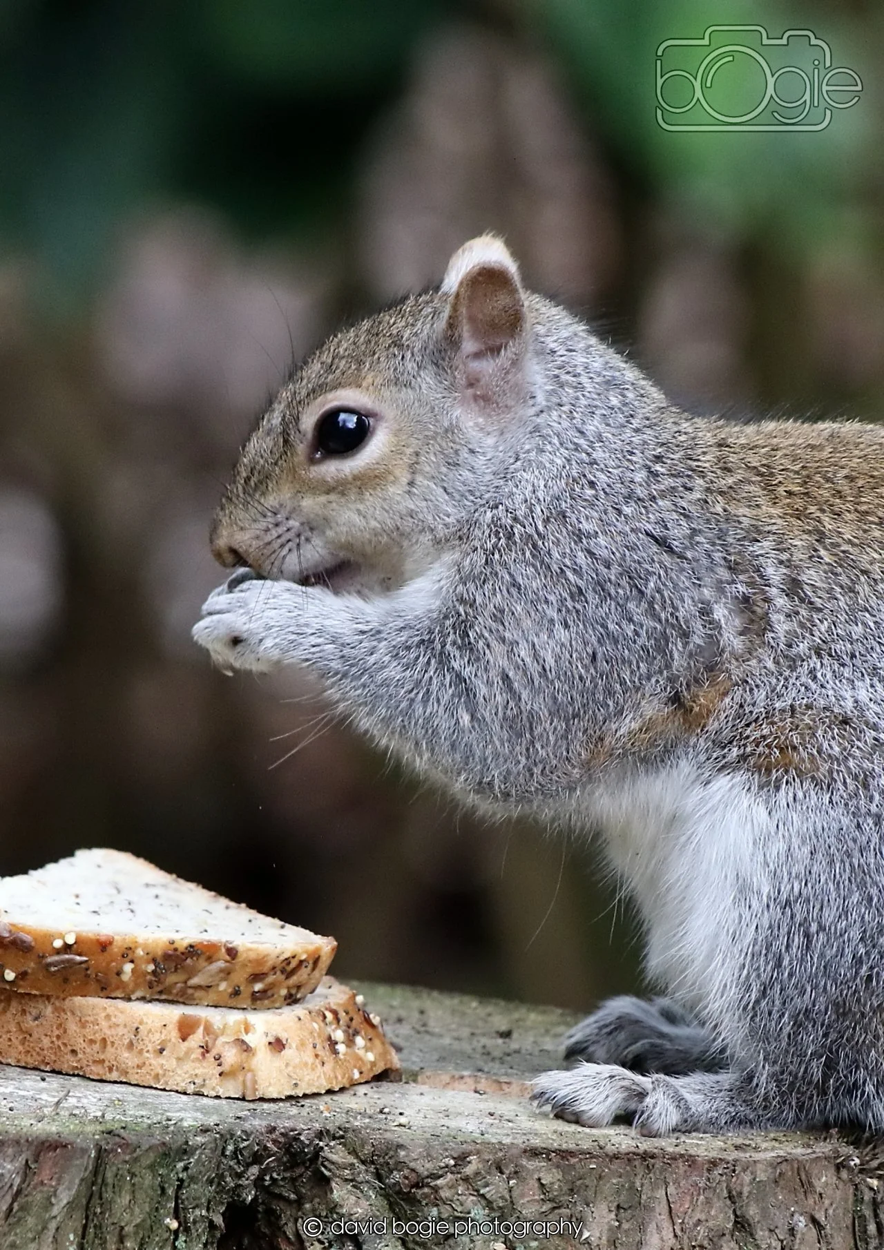 20260330 112728 Dunnikier 0191.jpg