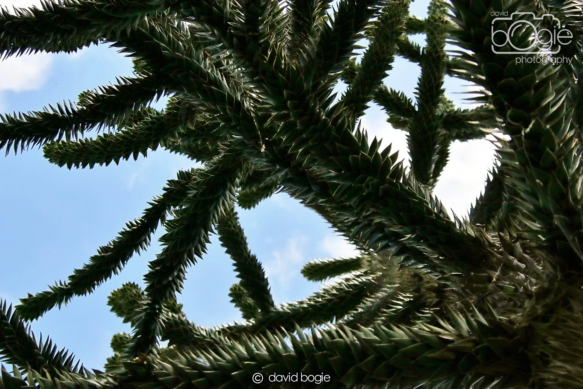 20250505 133636 Beveridge Park 0937.JPG