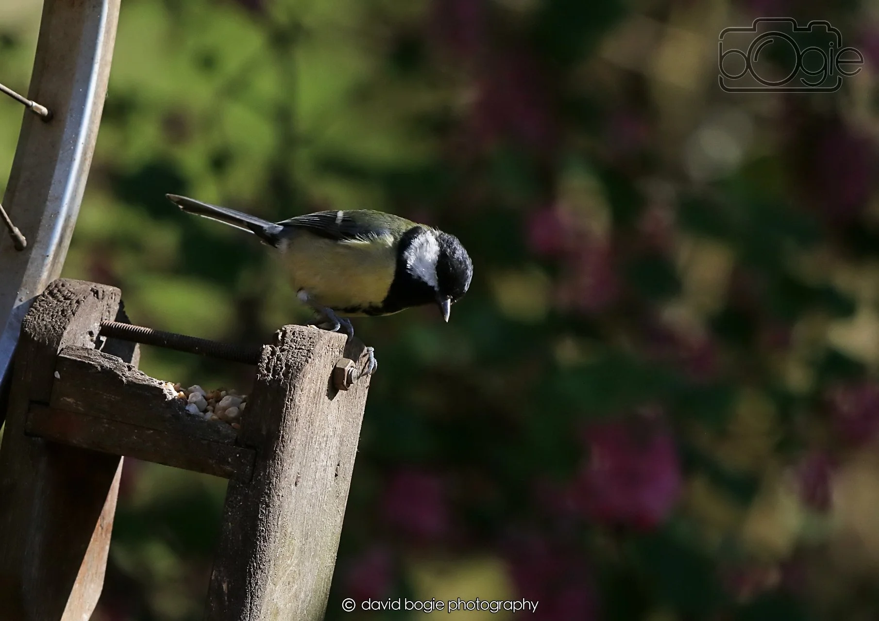 20260402 094958 Silverburn 0031.jpg