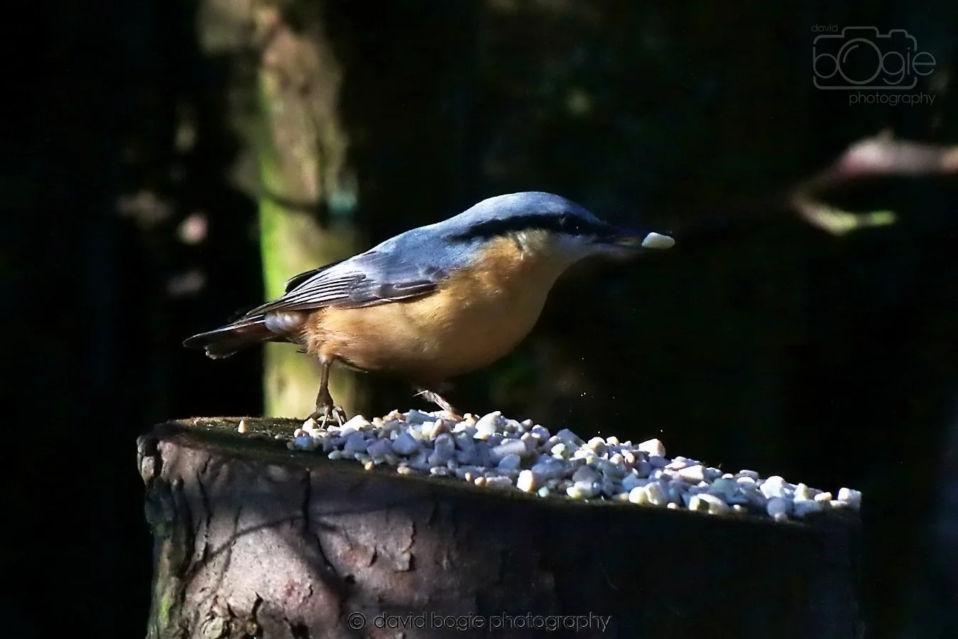 20260128 130002 Dunnikier 0113.jpg