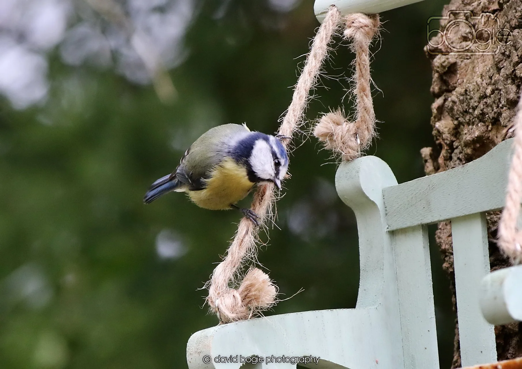 20260330 111334 Dunnikier 0049.jpg