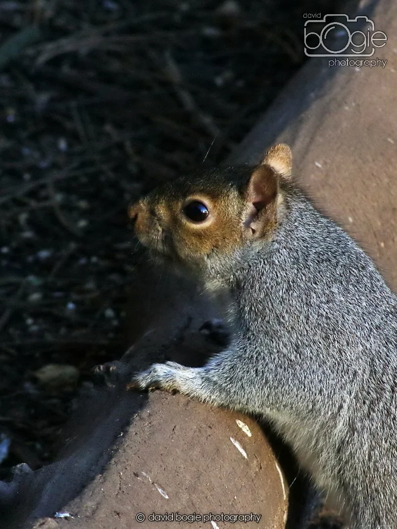 20251231 134724 Silverburn 0255.JPG