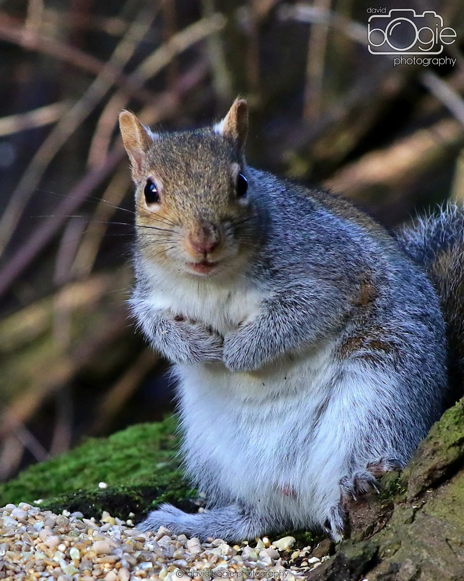 20260128 142628 Dunnikier 0372.JPG