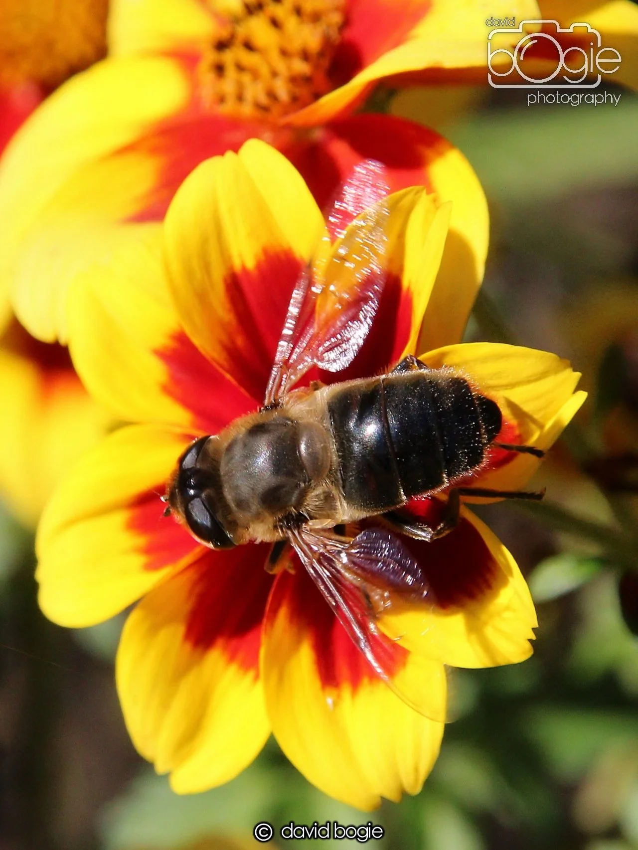 20240918 114450 Beveridge 0145.JPG