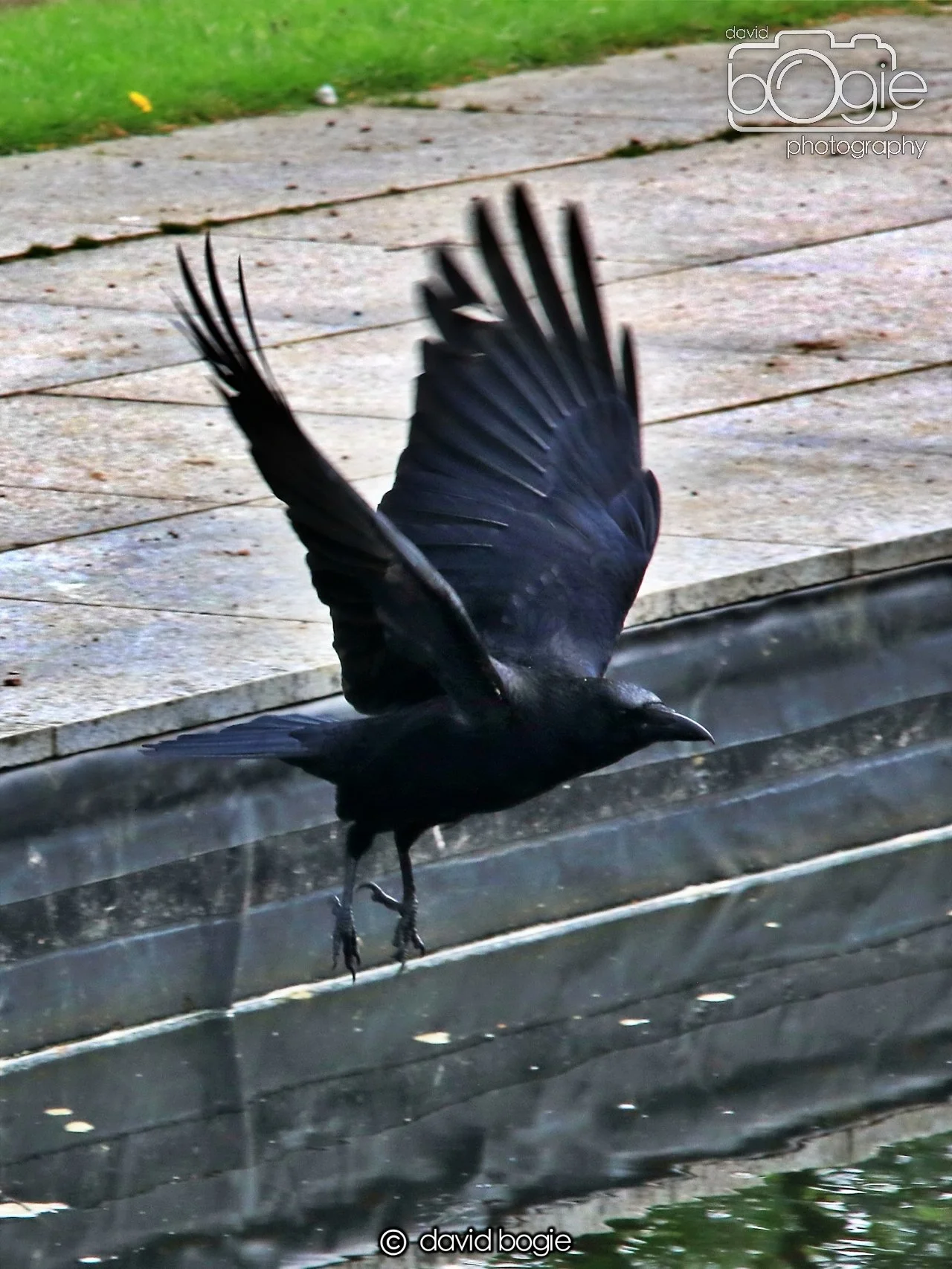 20250505 132211 Beveridge Park 0760.JPG