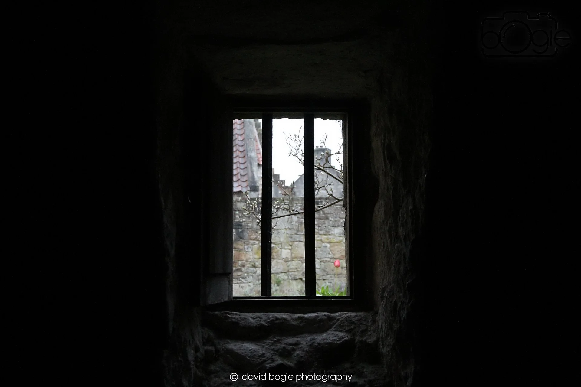 20260401 124046 Culross0146.jpg