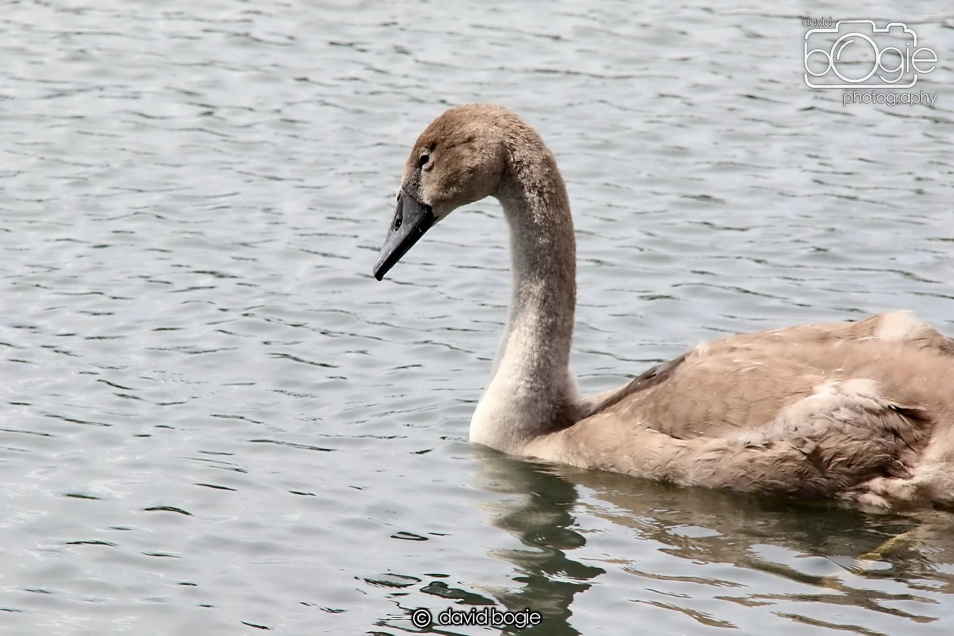 20250721 124922 Beveridge Park 0294.JPG