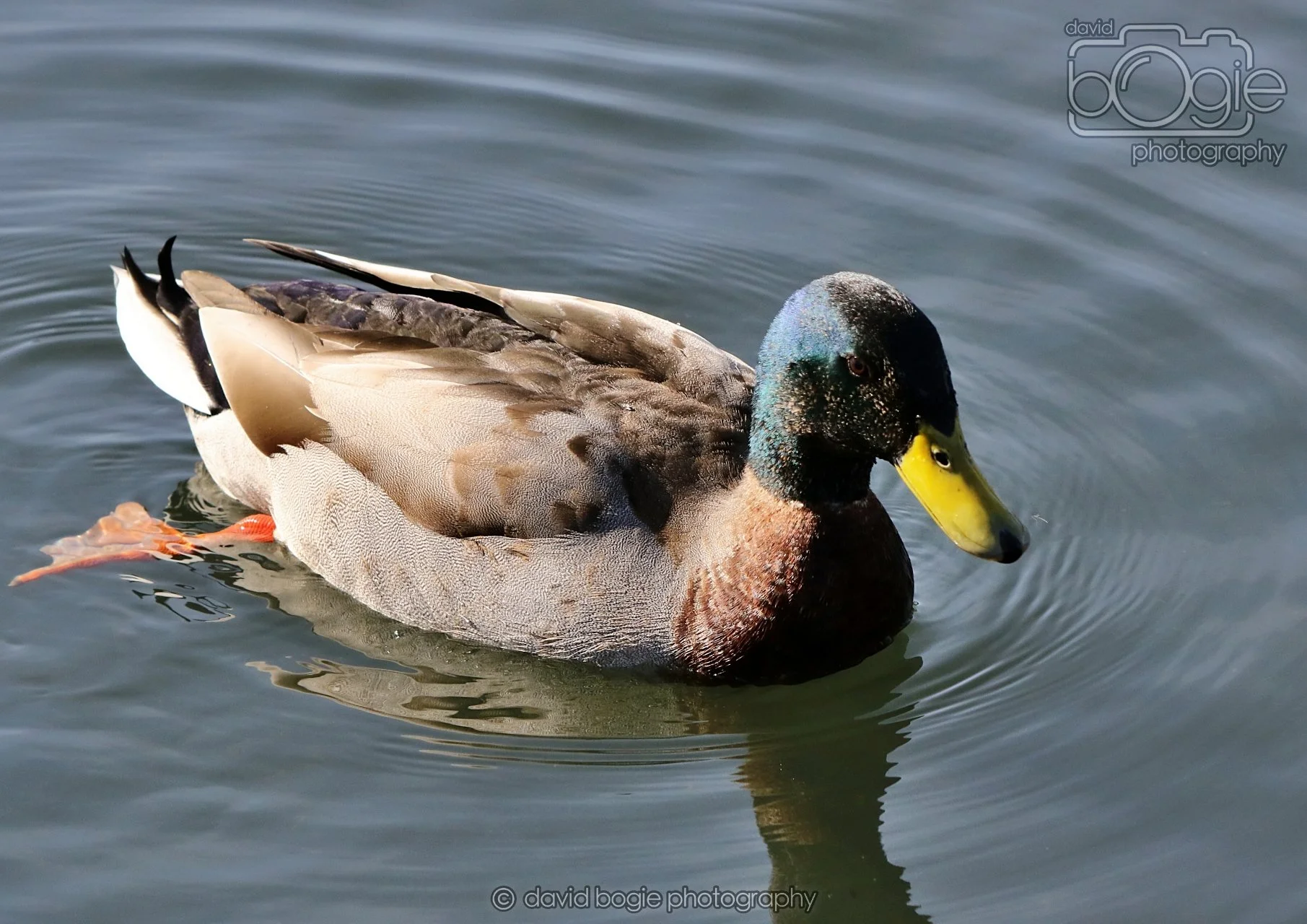 20260319 132913 Beveridge Park 0438.jpg