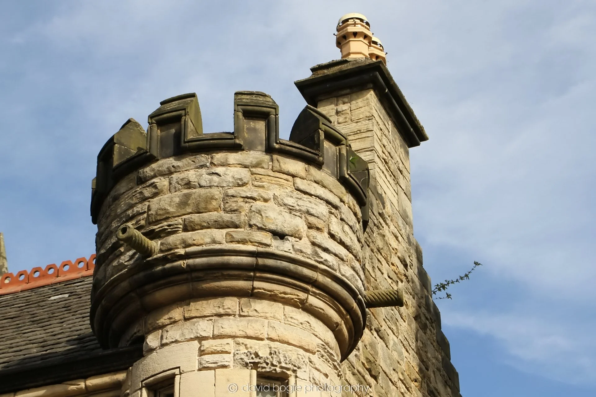 YEAR20240408 Kirkcaldy 104059 9733a.jpg