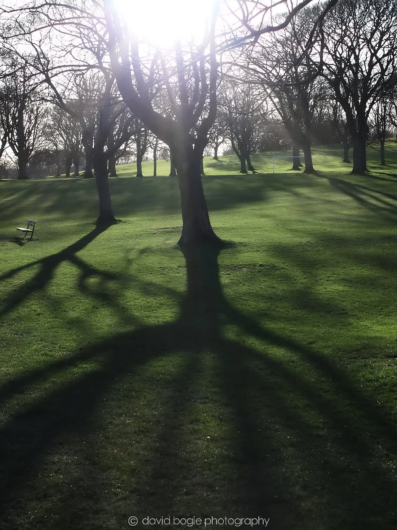 YEAR20260103 111324 Beveridge Park  0006.jpg
