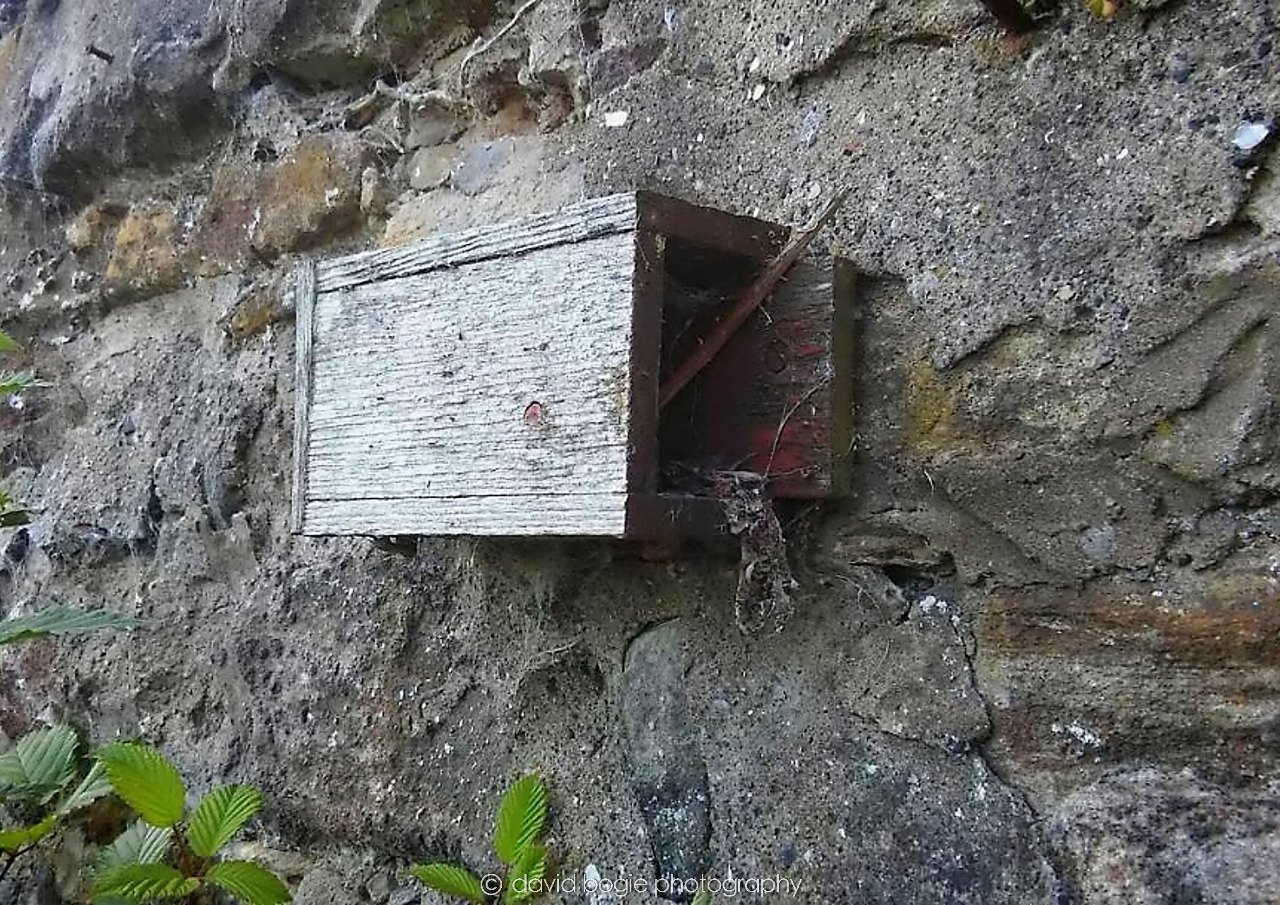 20160810 Kirkcaldy 0002.jpg
