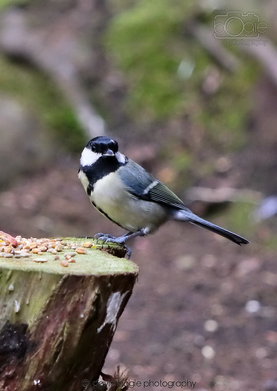 20260309 115105 Dunnikier 0426.jpg