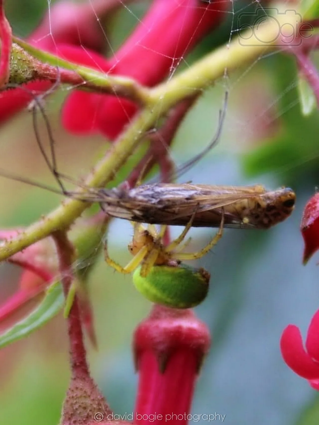 20190702 Cardenden 0012.jpg