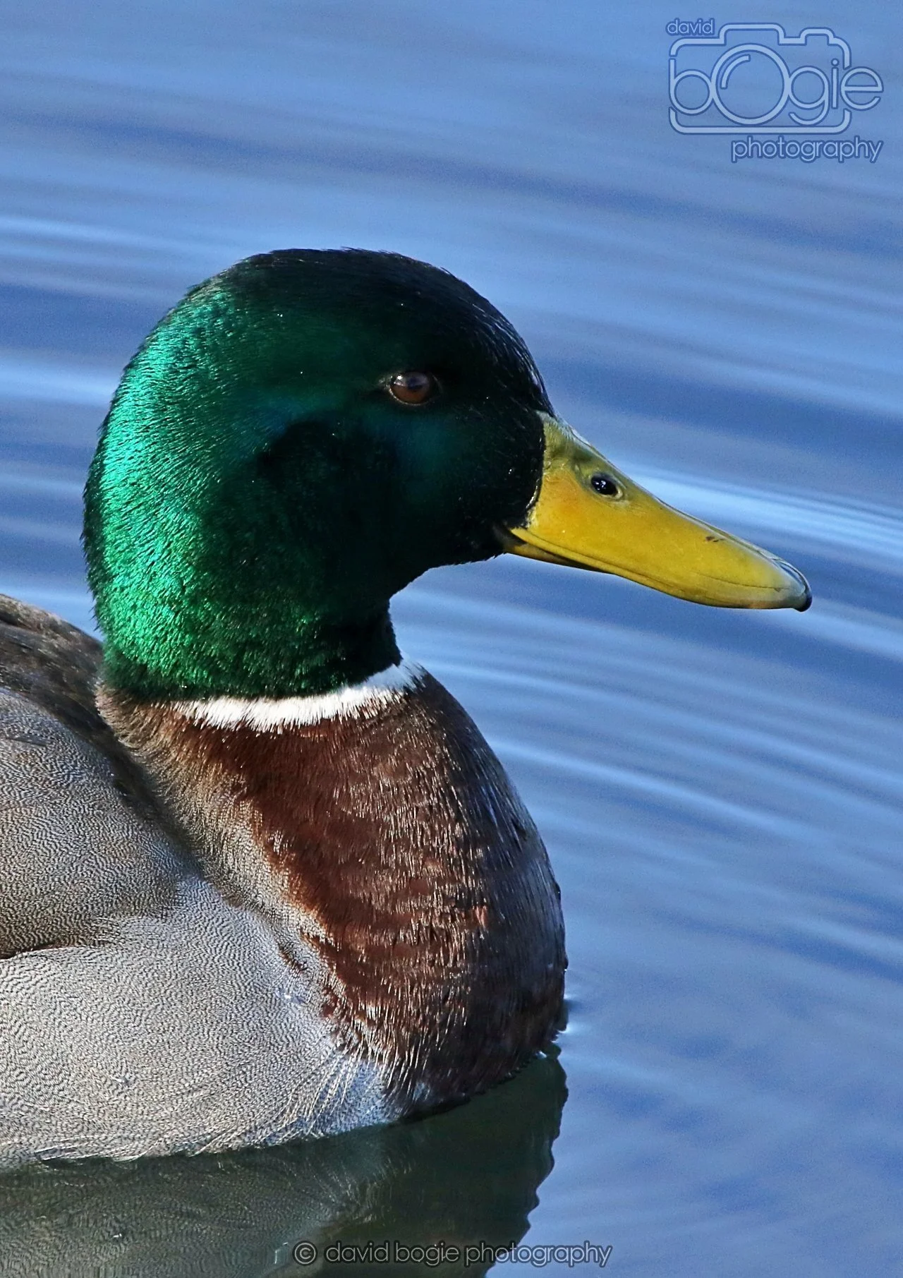 20260319 112939 Beveridge Park 0043.jpg