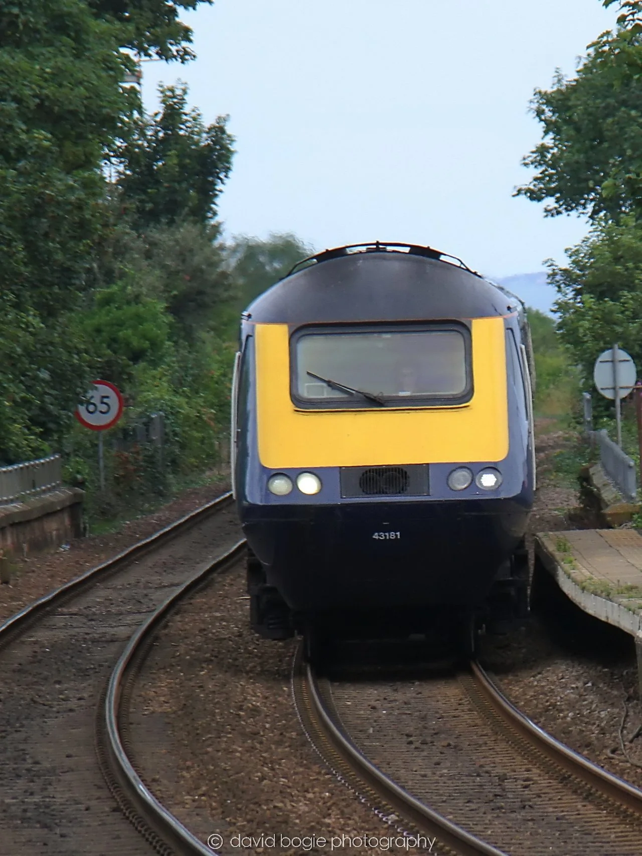 YEAR20230814 Kinghorn 135846 0214.jpg