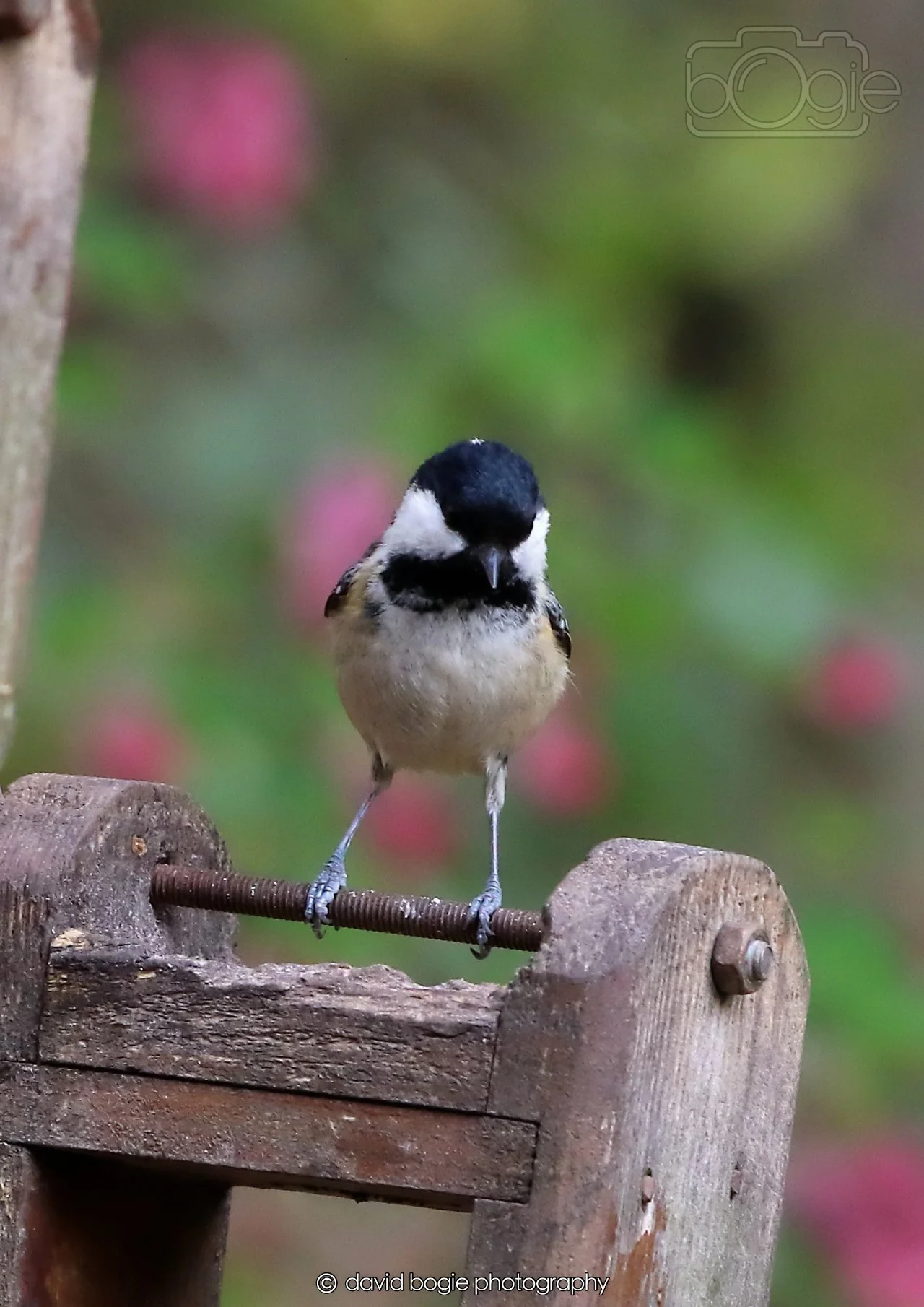 20260326 115020 Silverburn 0270.jpg