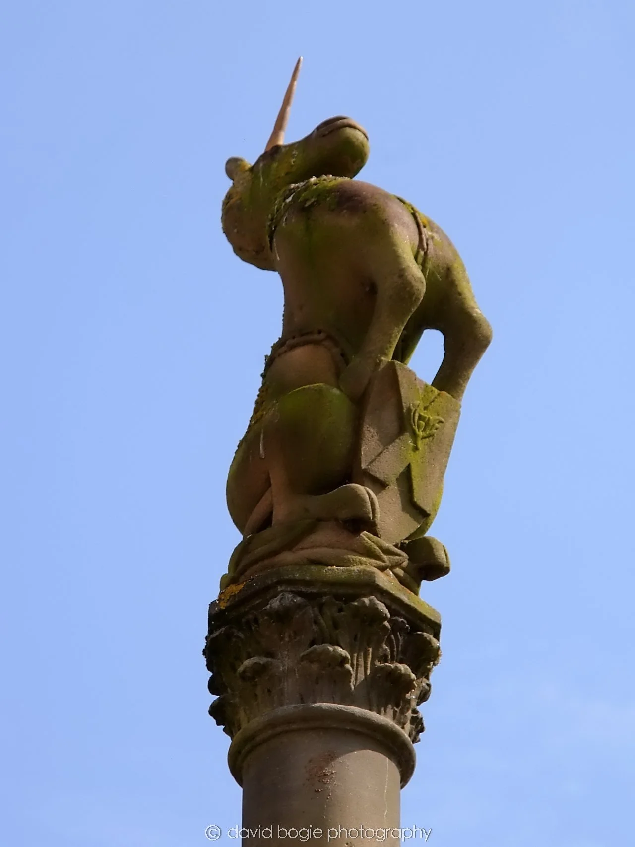 YEAR20240531 104747 Cupar 0153.jpg