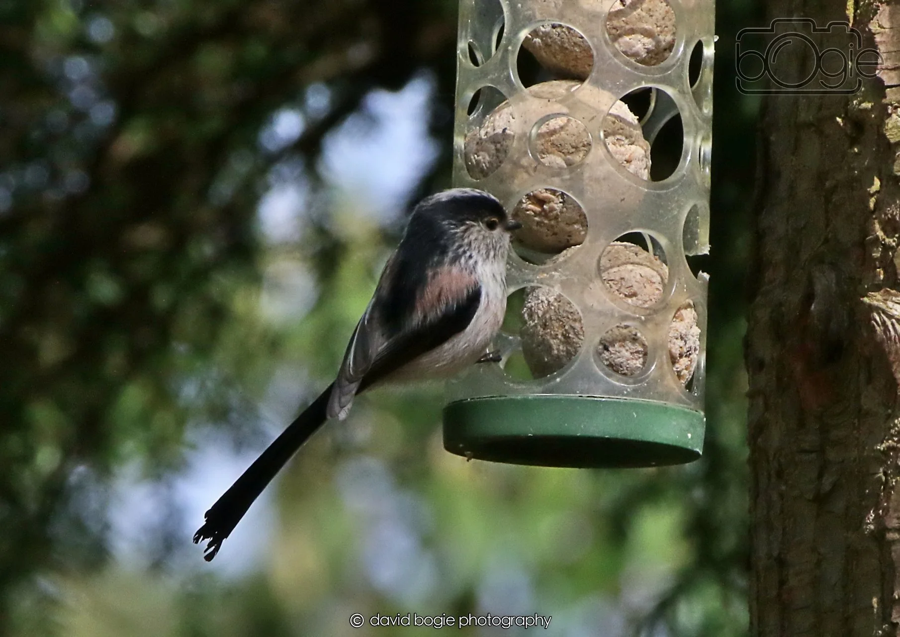 20260403 120838 Dunnikier 0019.jpg