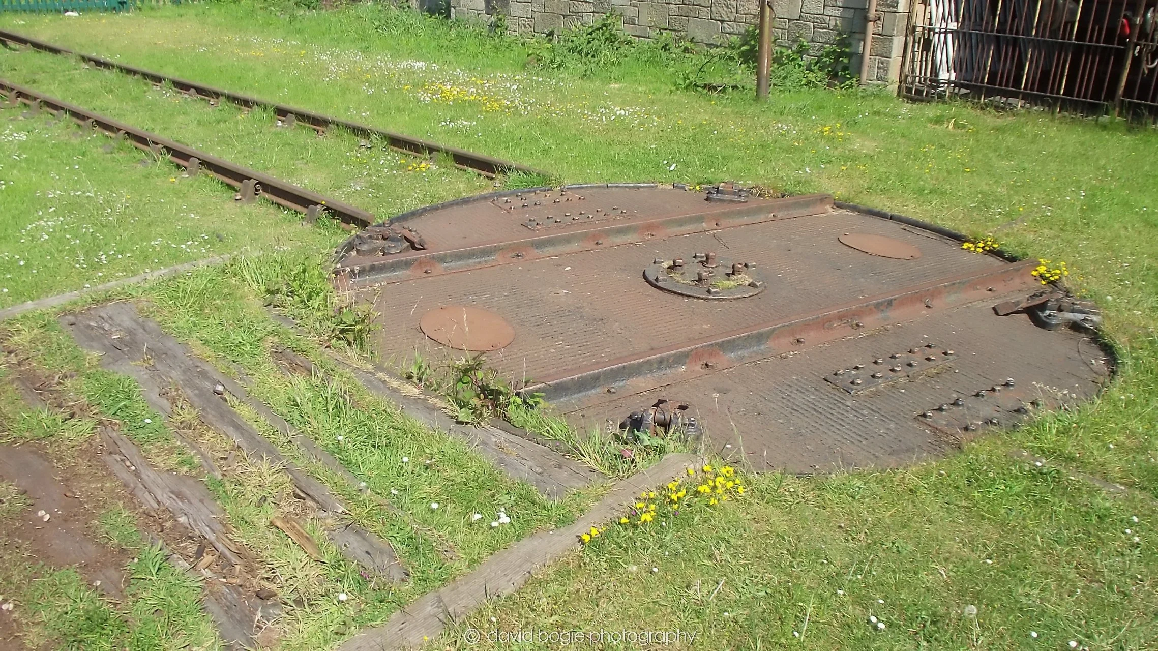 YEAR20180526 141344 Bo'ness 0063.jpg