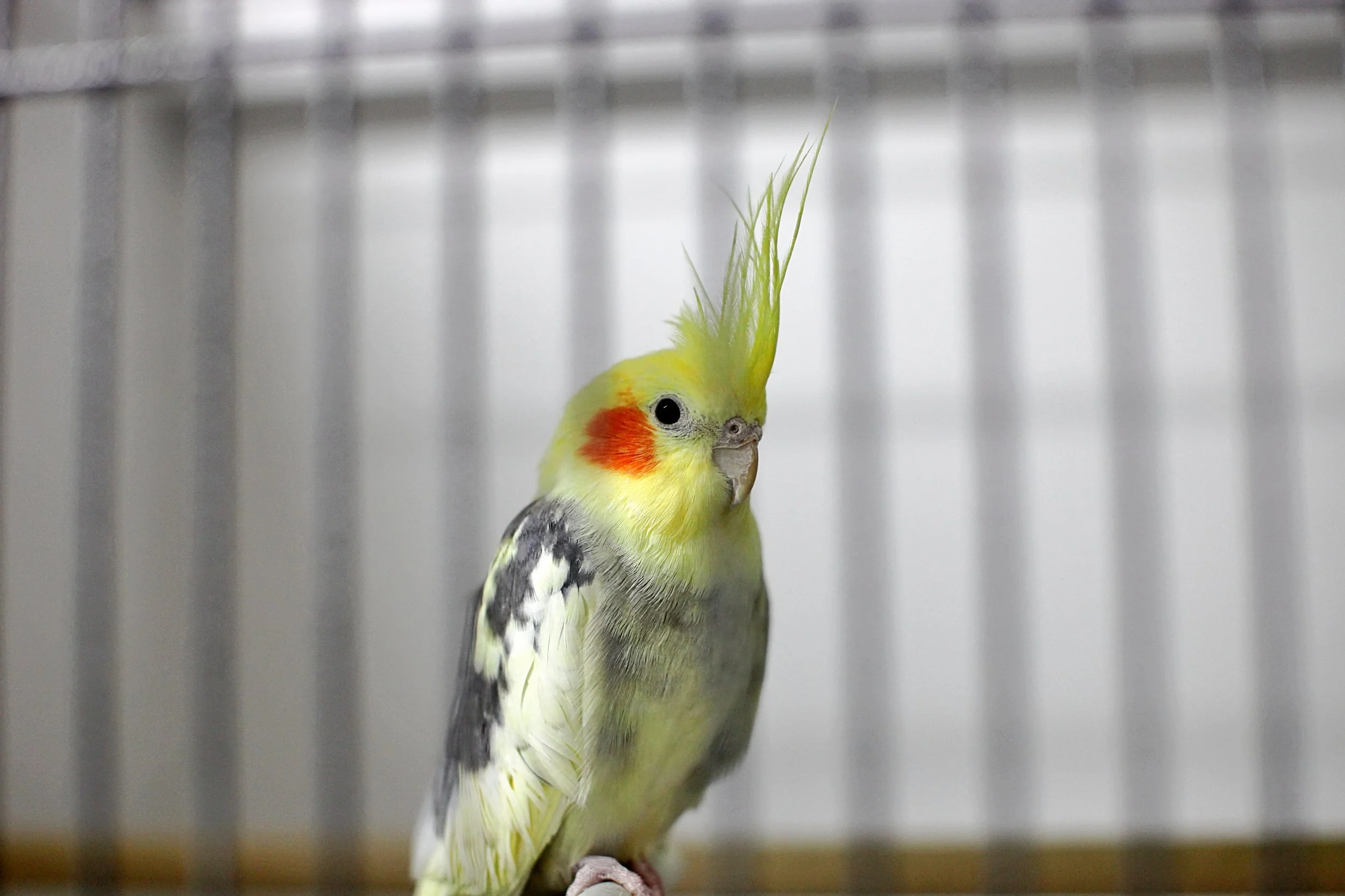 20251117 133225 IMG_0045.JPG