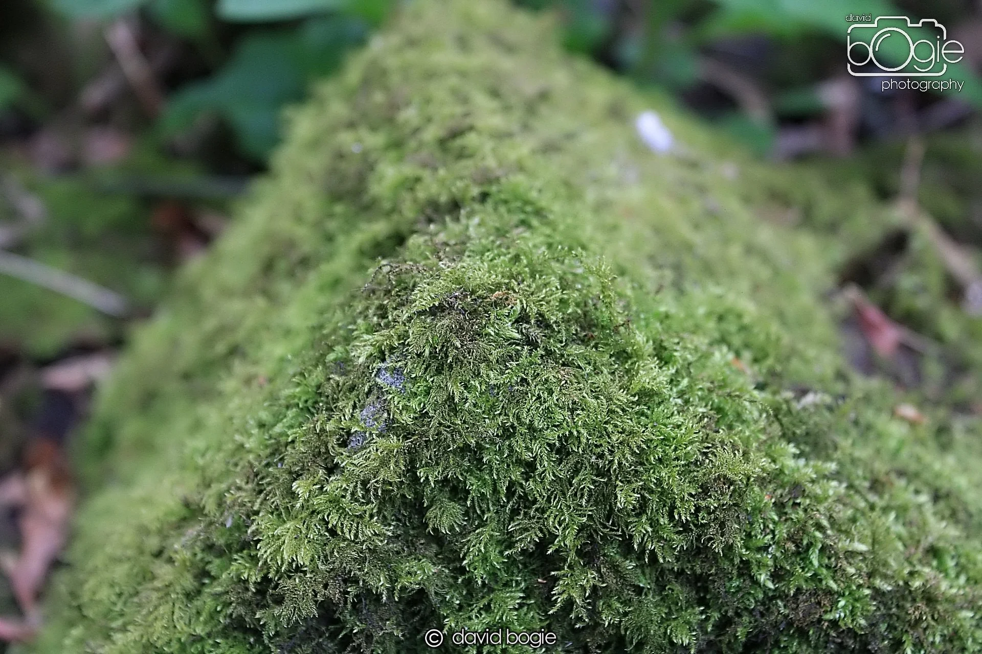 20190505 221424 Dunmore 0006  .jpg