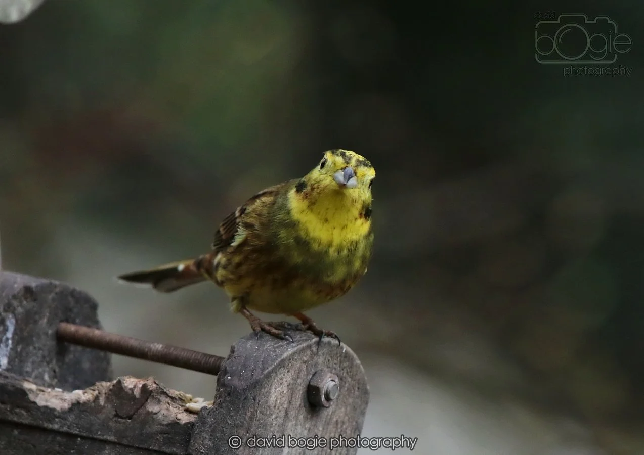 20260215 132455 Silverburn 0168.jpg