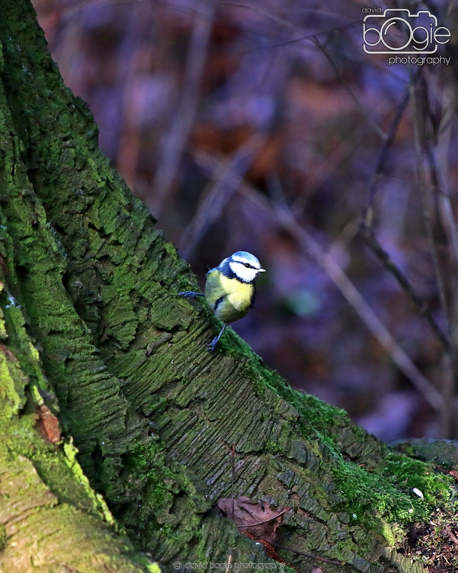 20260128 143716 Dunnikier 0422.JPG