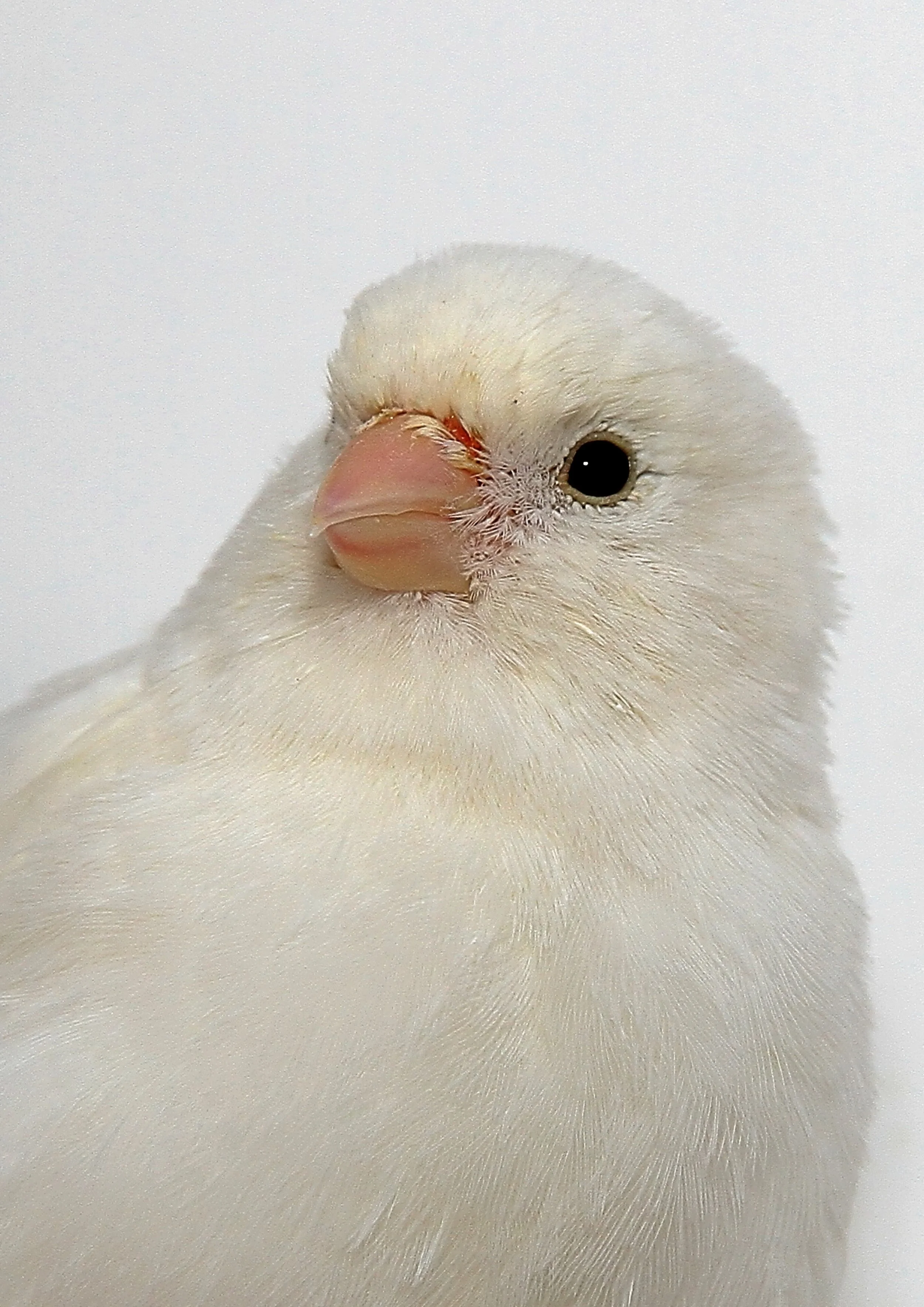 20260331 111755 K&S 0450.jpg