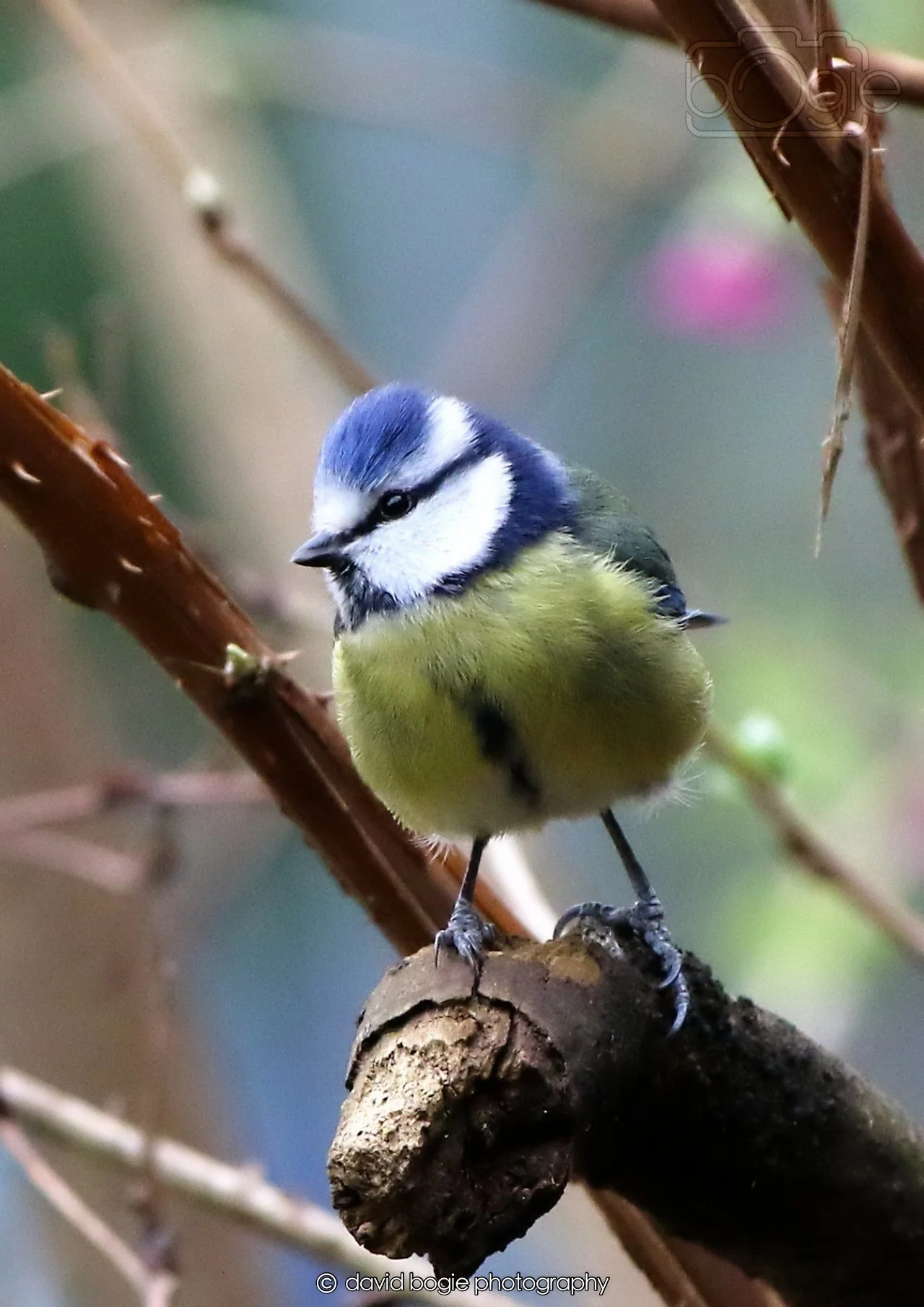 20260326 113334 Silverburn 0199.jpg