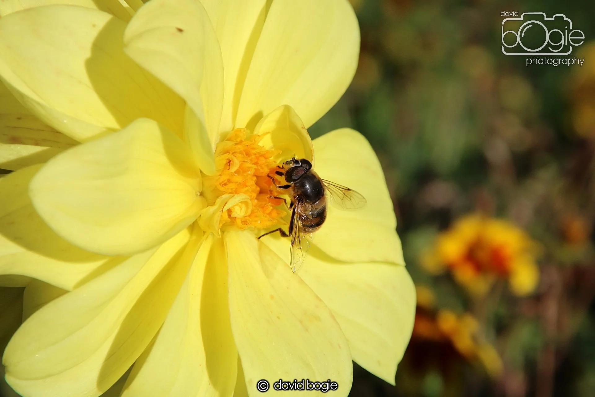 20240918 114747 Beveridge 0151.JPG