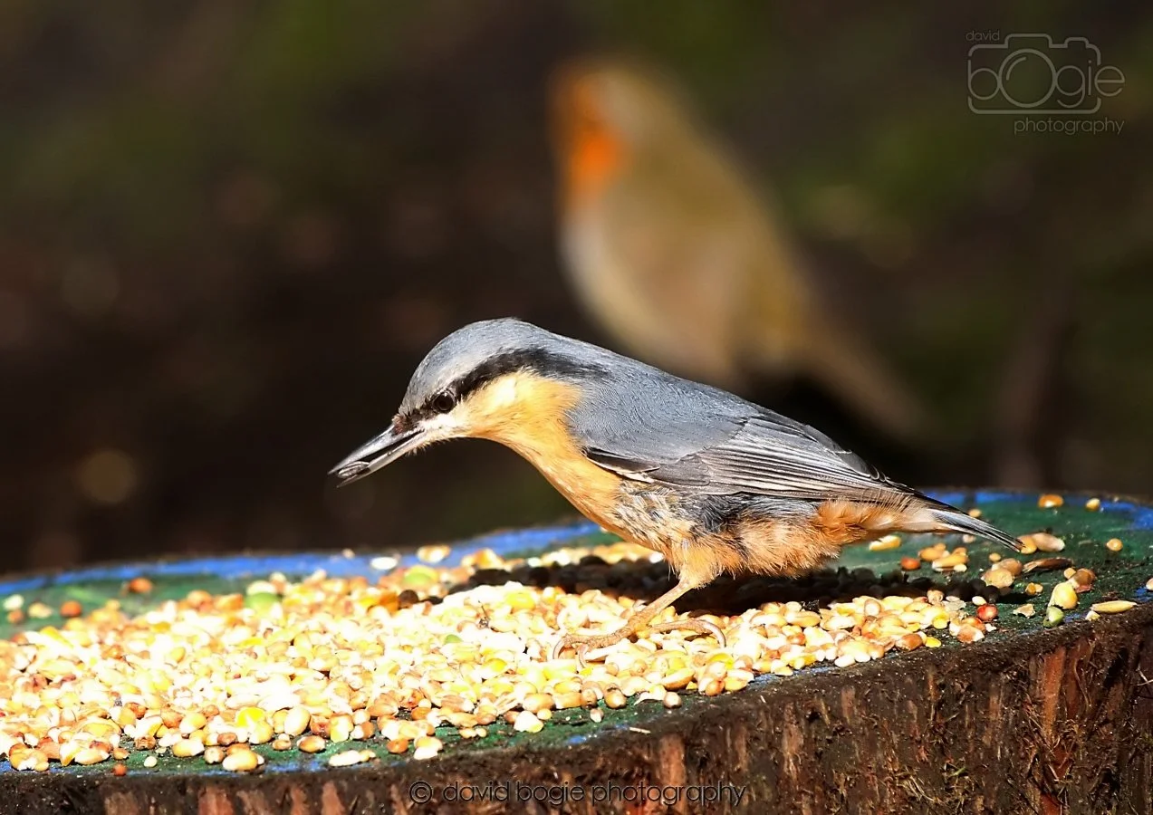 20260306 120222 Dunnikier 0531.jpg