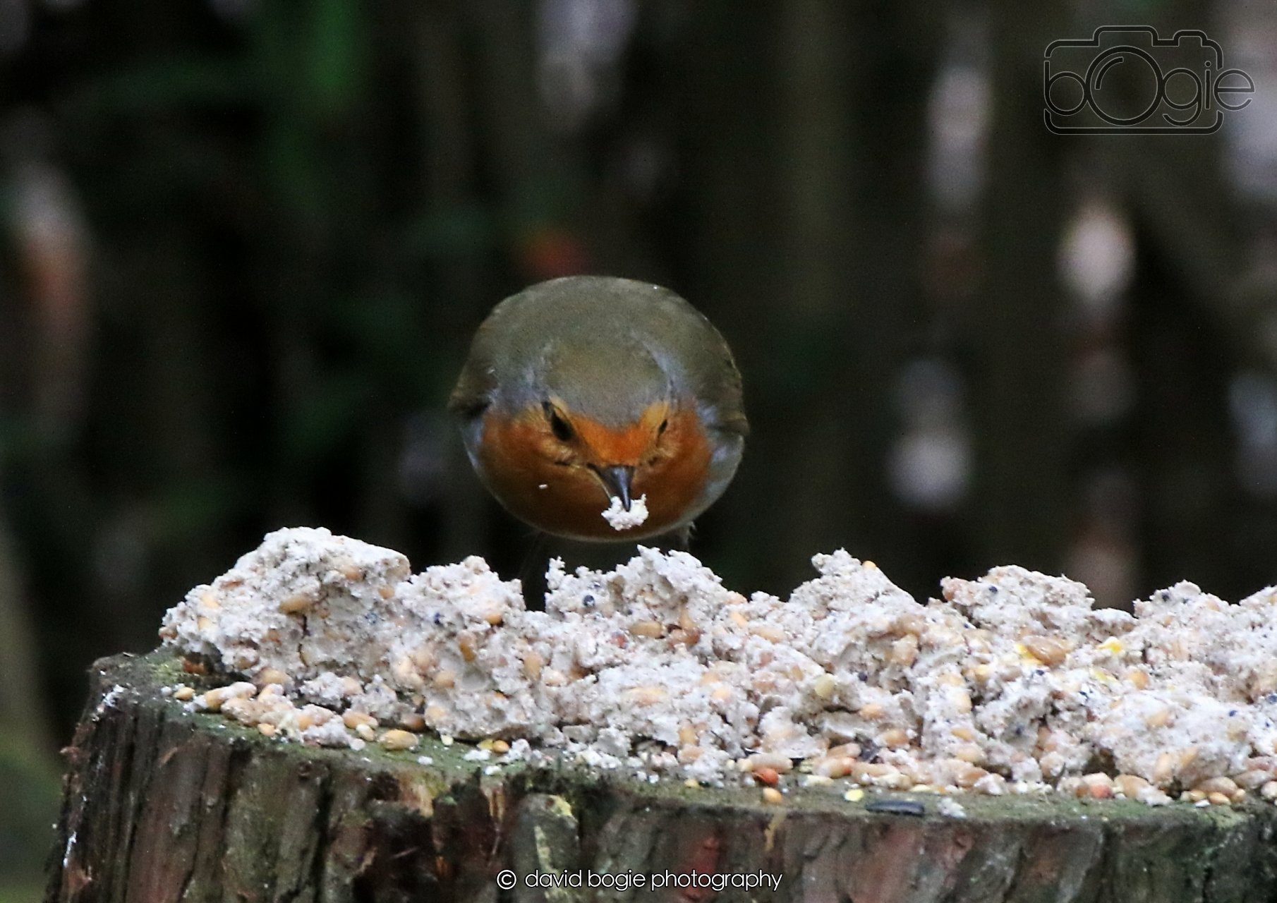 20260403 130138 Dunnikier 0287.jpg