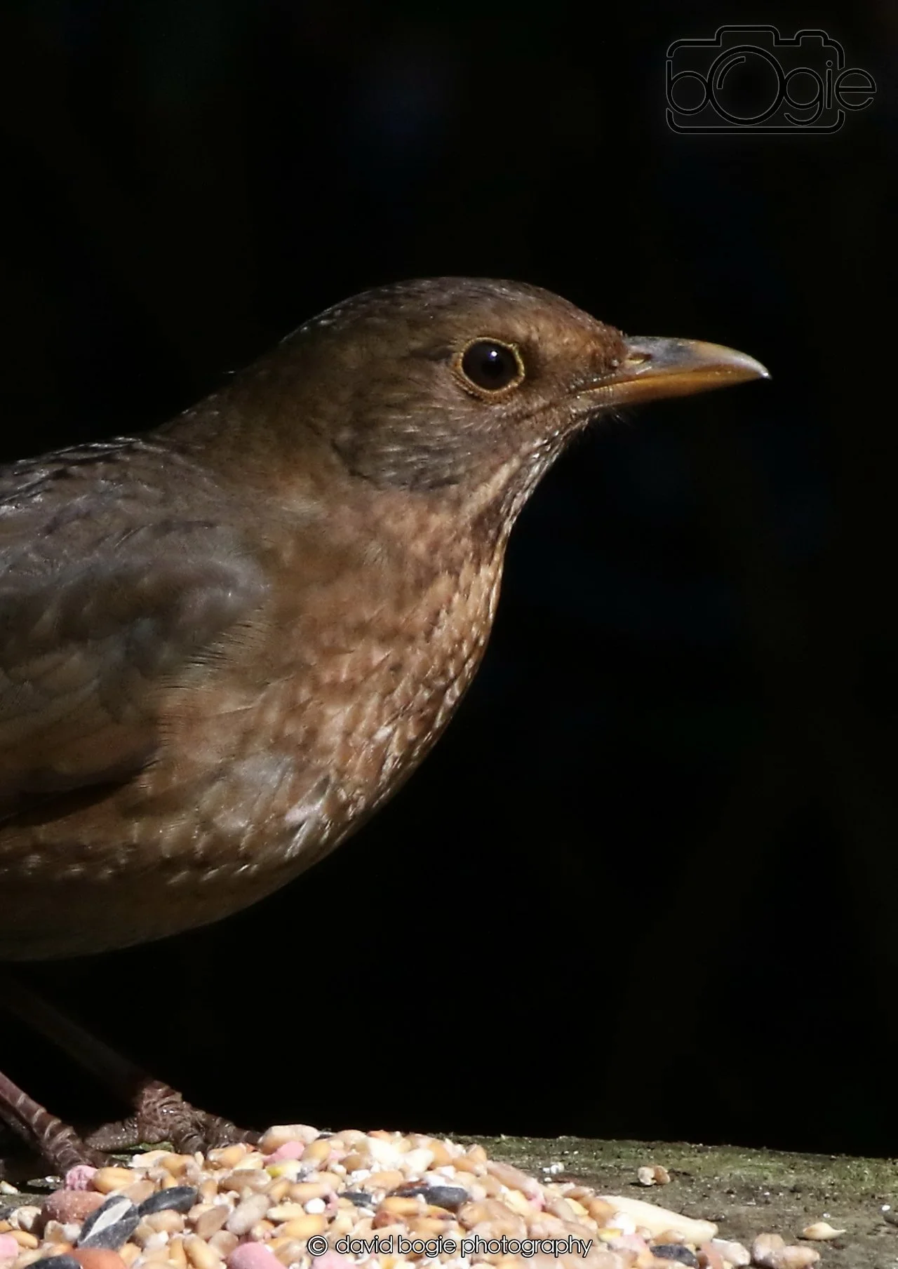 20260403 121351 Dunnikier 0054.jpg