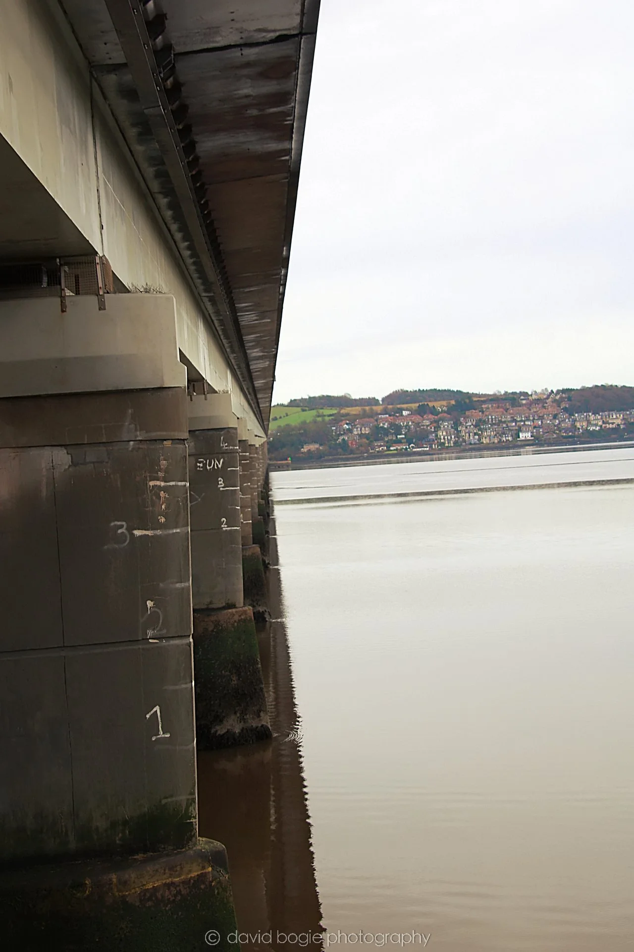 YEAR20221228 112152 Dundee.jpg