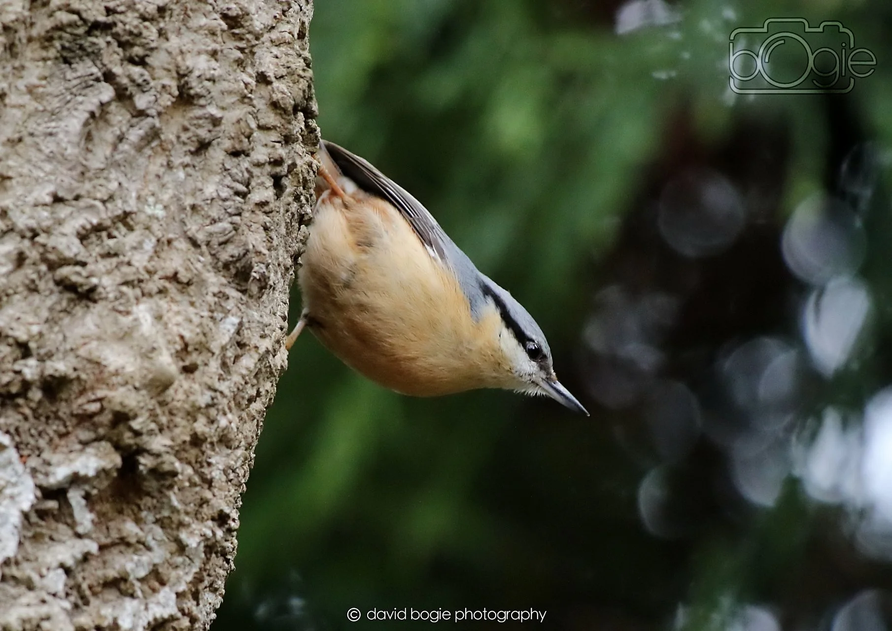 20260330 112924 Dunnikier 0200.jpg