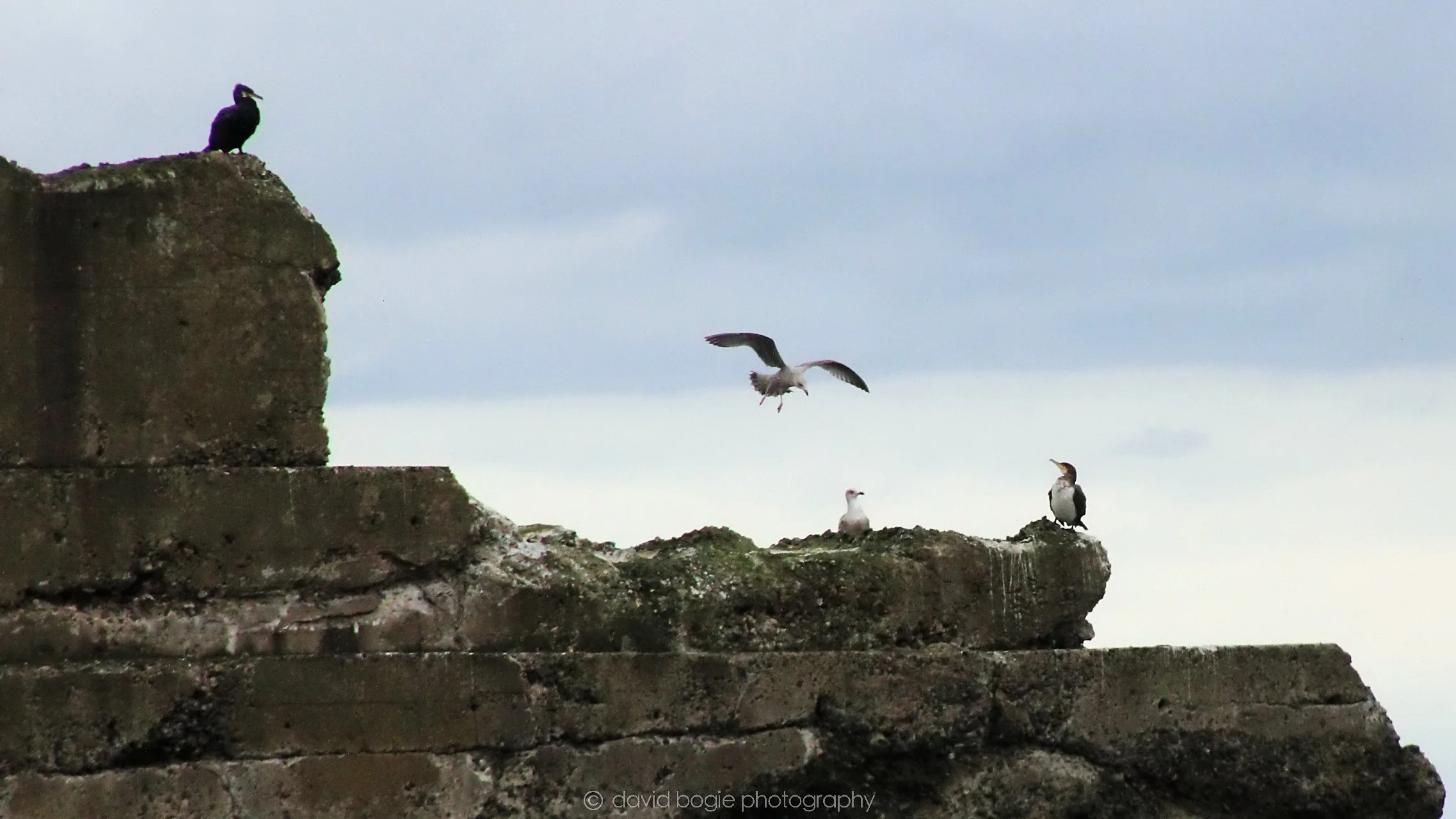 20210309 Kirkcaldy  (16) .jpg