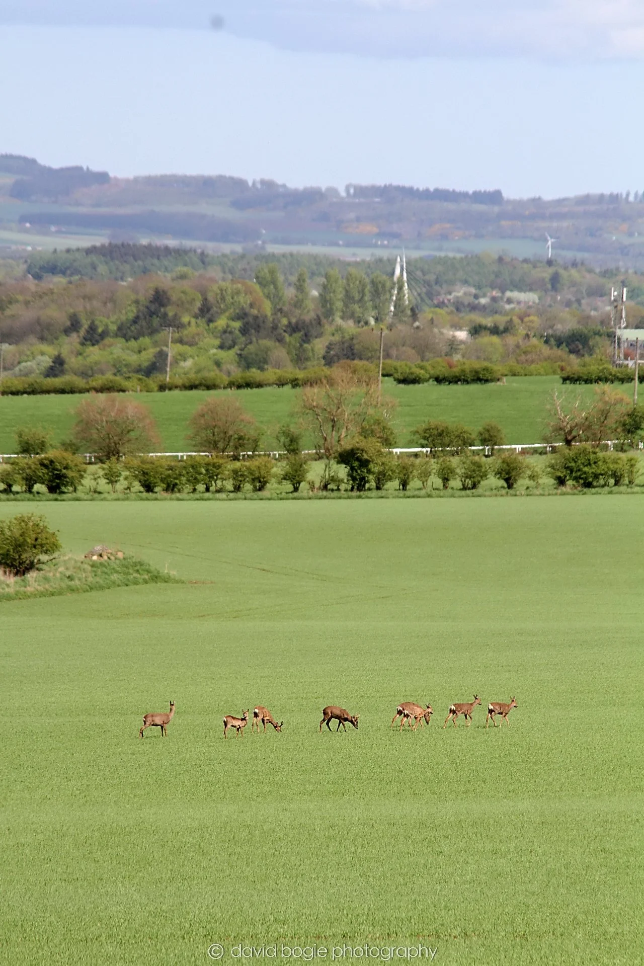 YEAR20230509 Glenrothes 0428.jpg