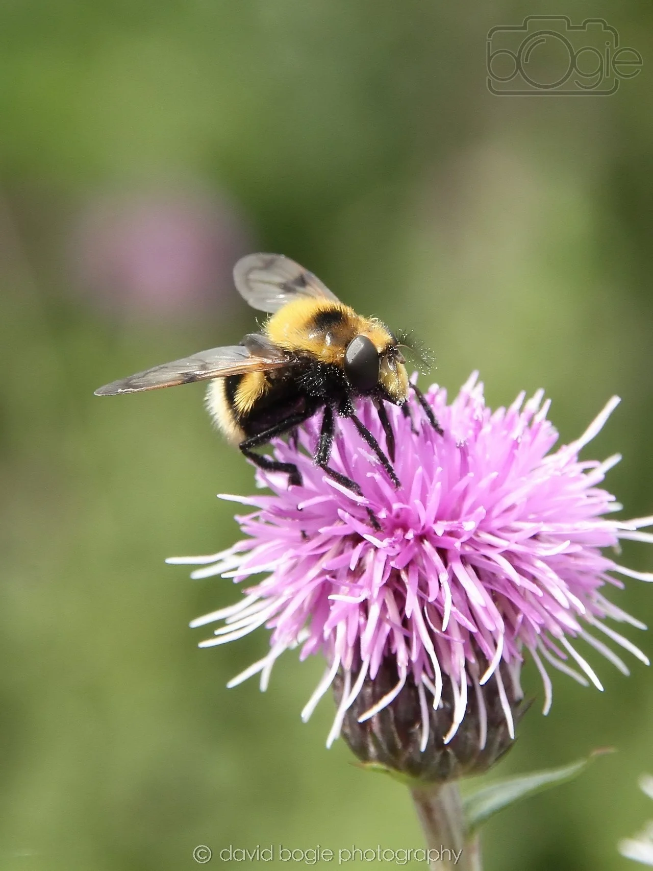 20240706 134031 Lochore Meadows 0001.jpg