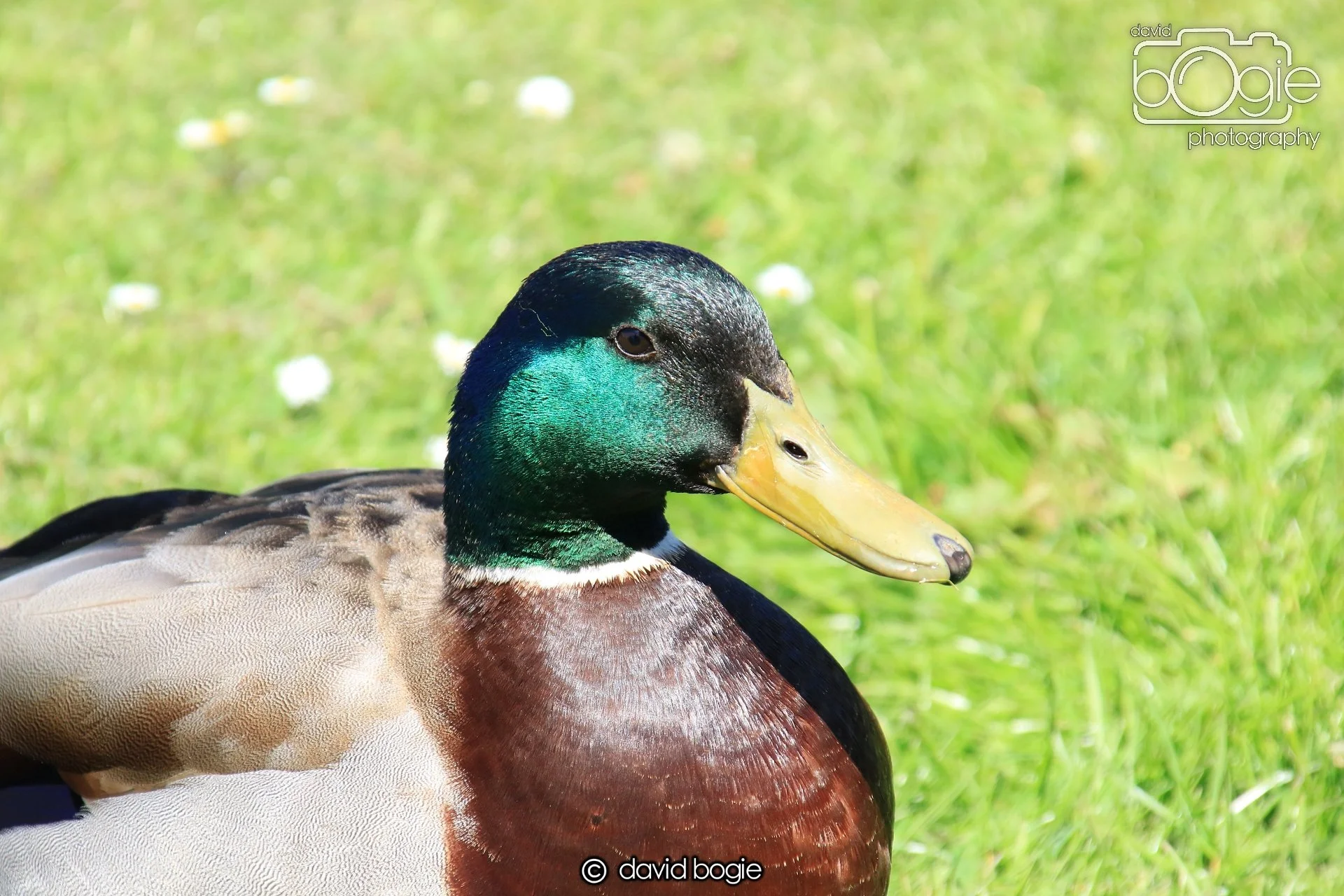 20250517 133344 Beveridge Park 0620.JPG