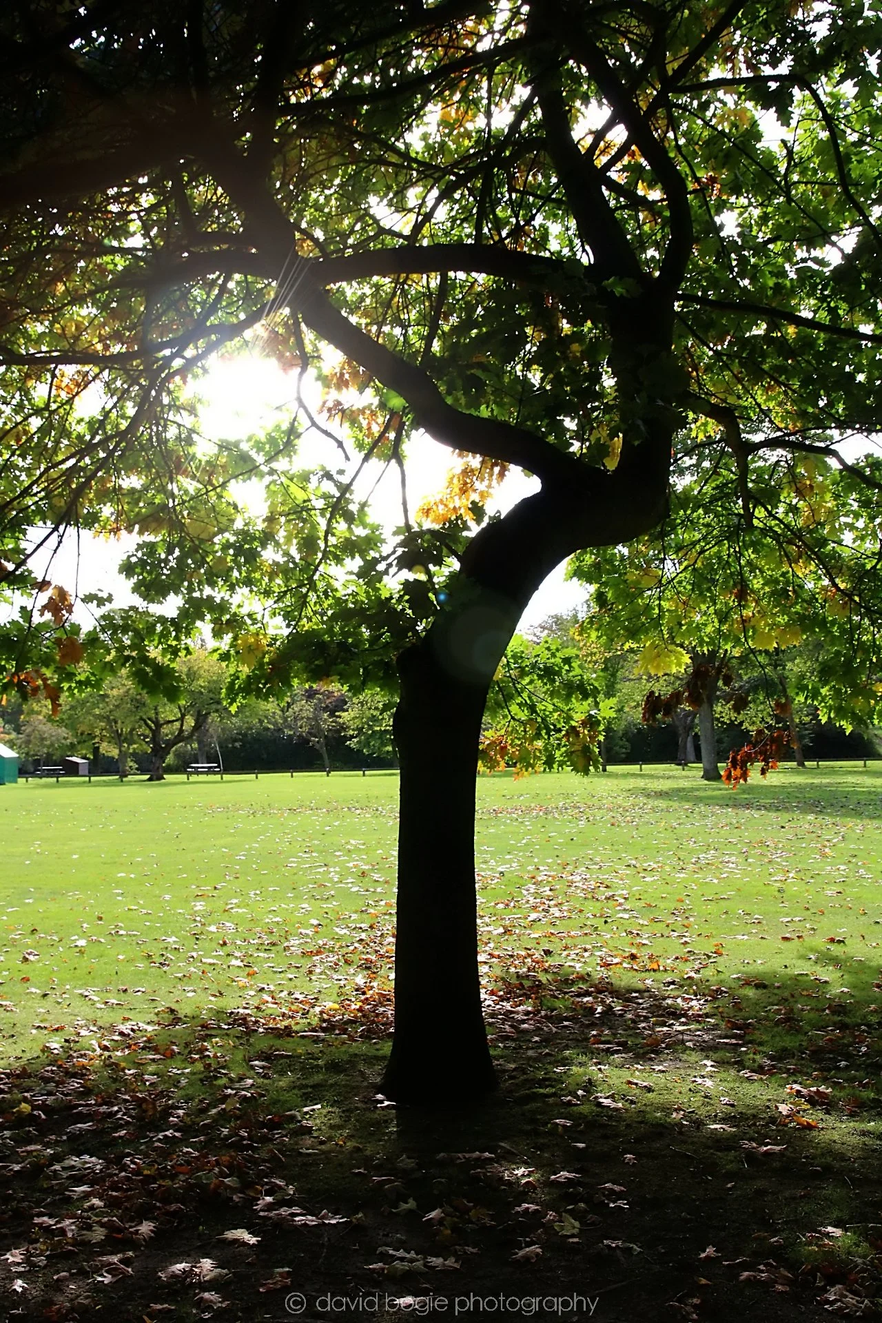 YEAR20220926 Beveridge Park2 .jpg