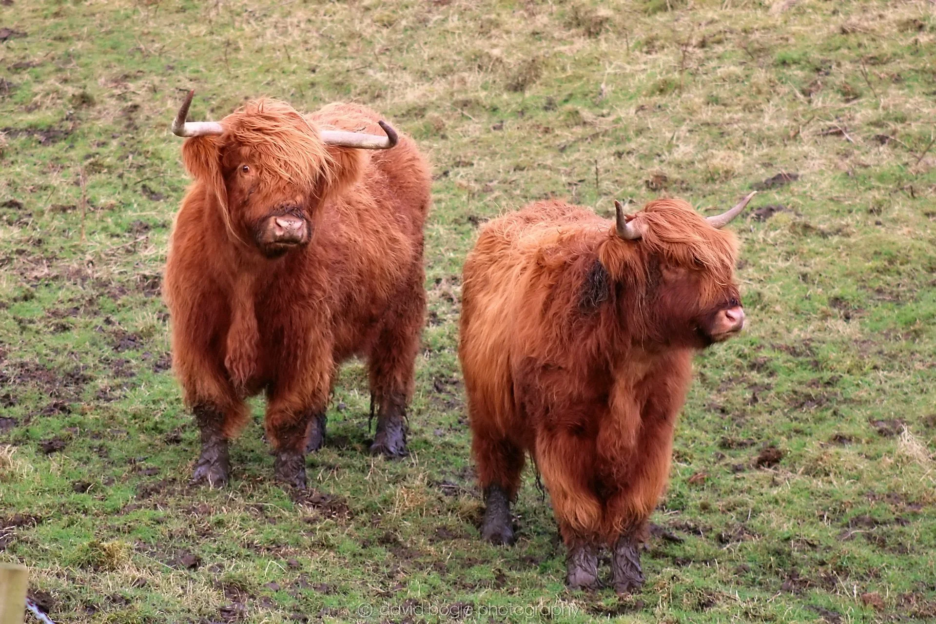 20200218 094347 Balbie Coos 0017.jpg