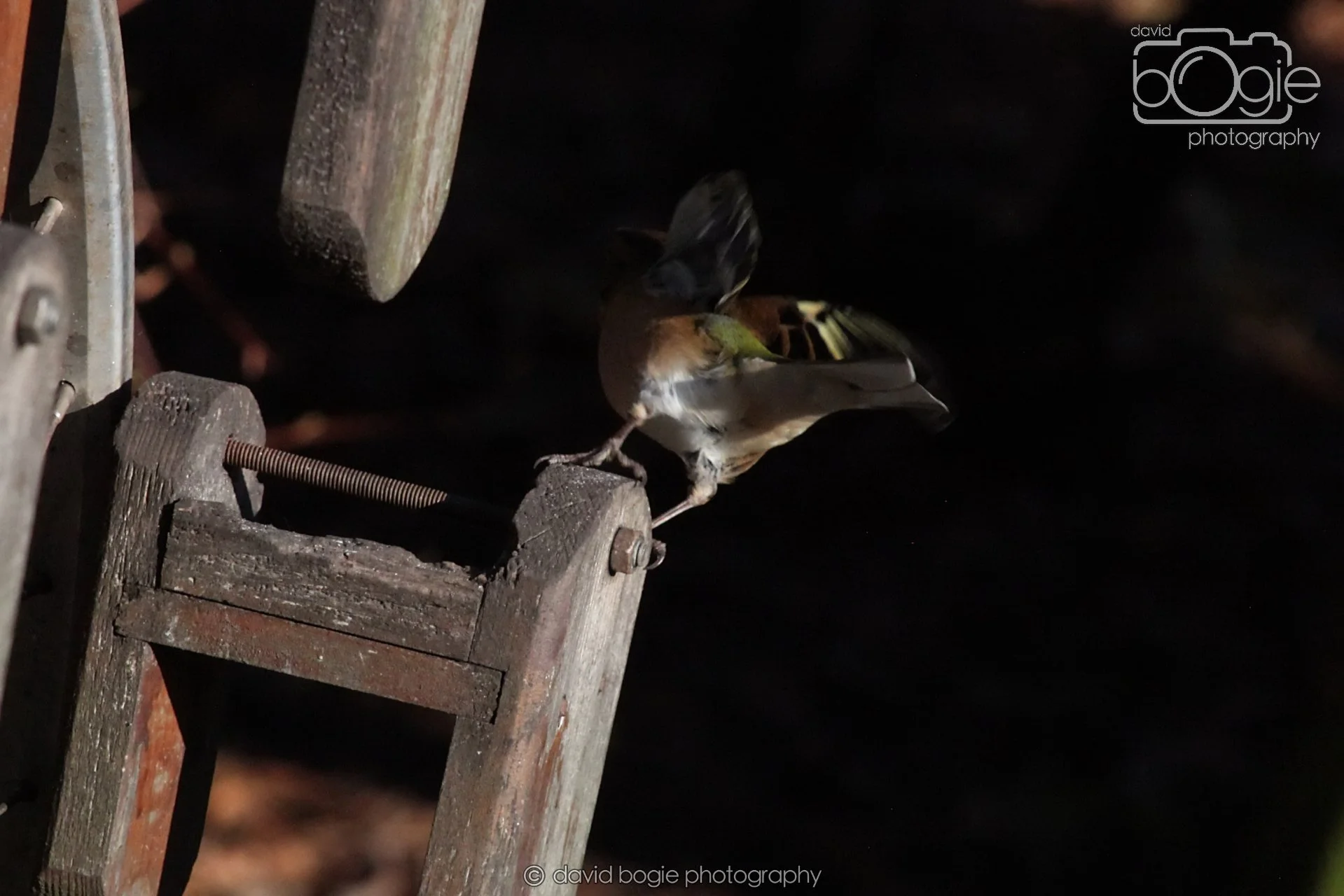 20251125 135718 Silverburn 0274.JPG